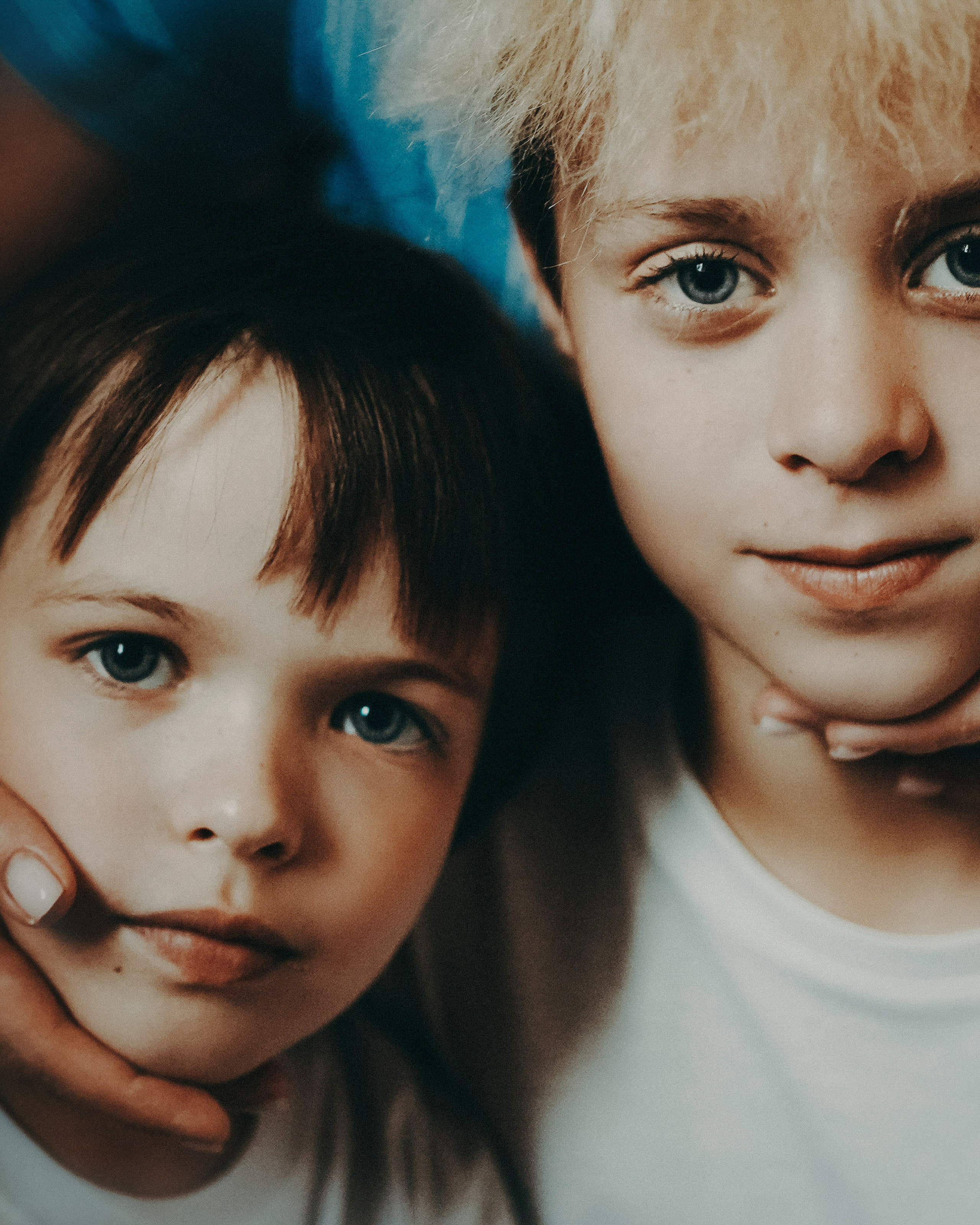 Дома все и кошка тоже