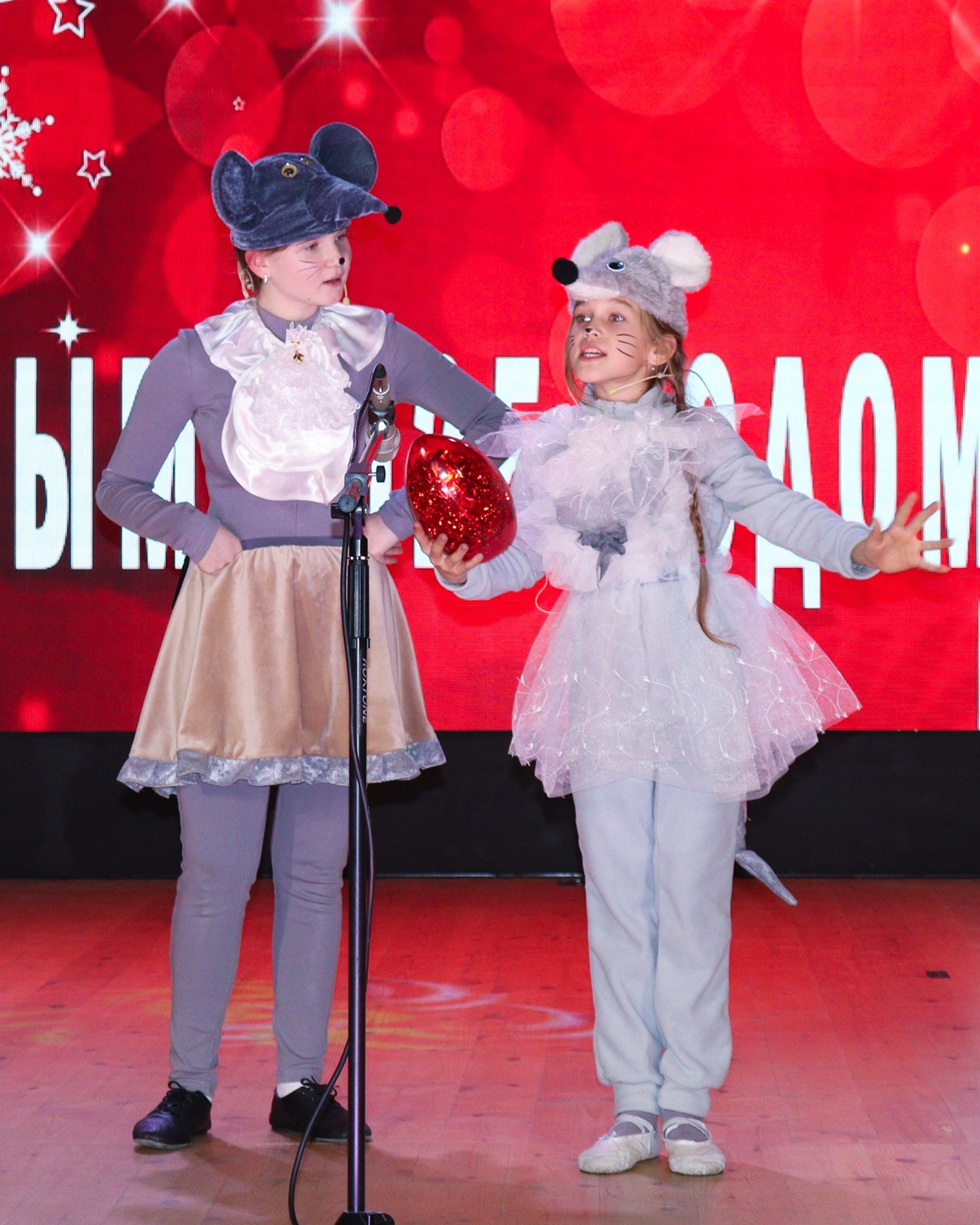 Новогодний концерт Шишли-Мышли