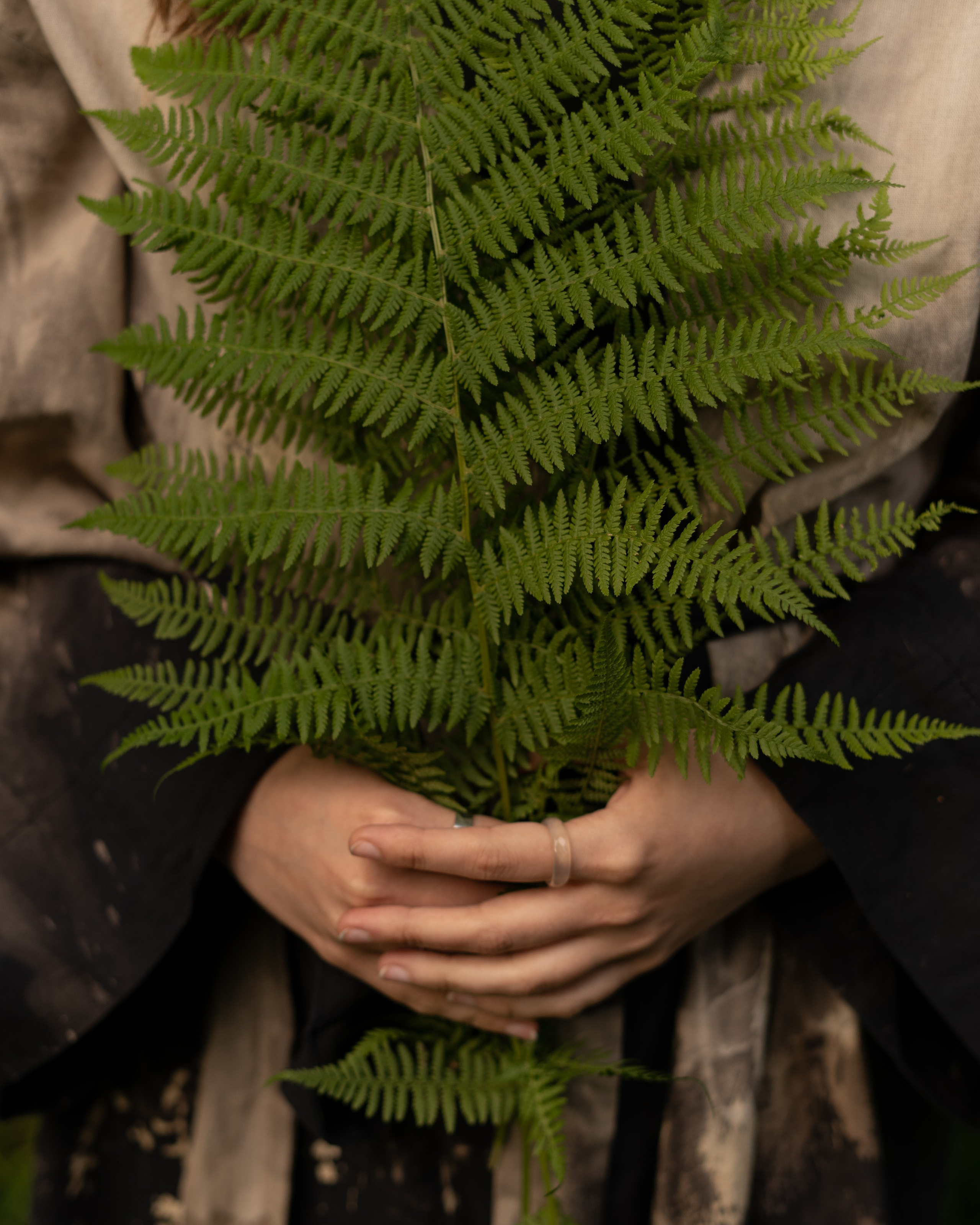 Природа (София)