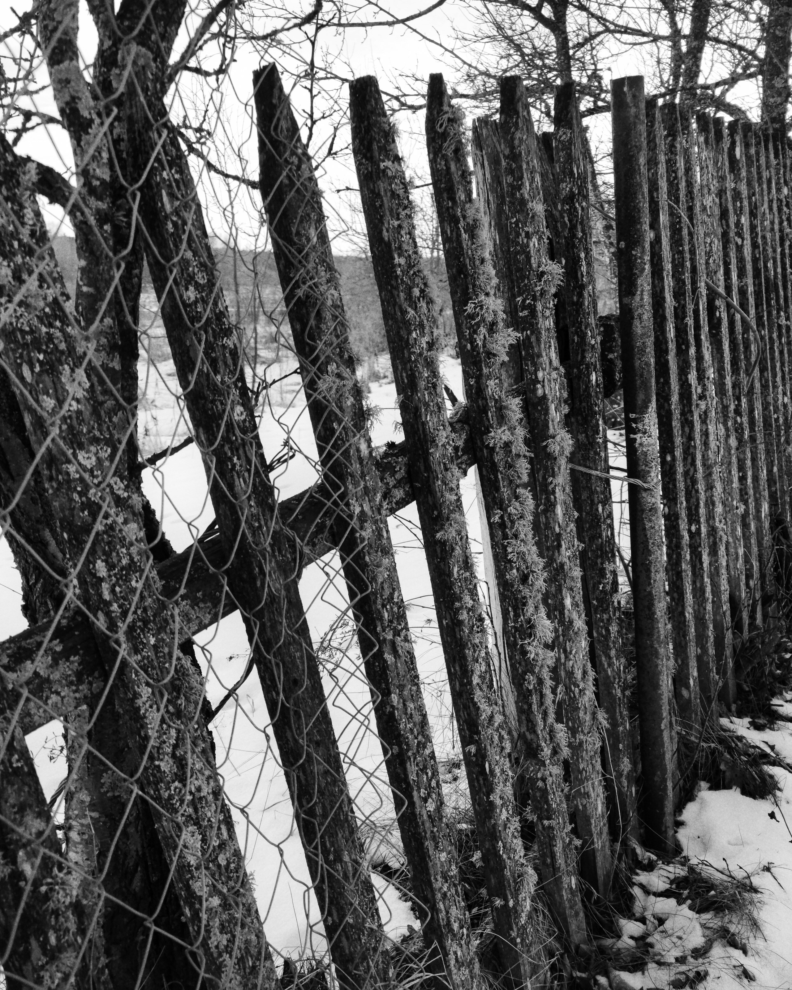 Жизнь деревенская