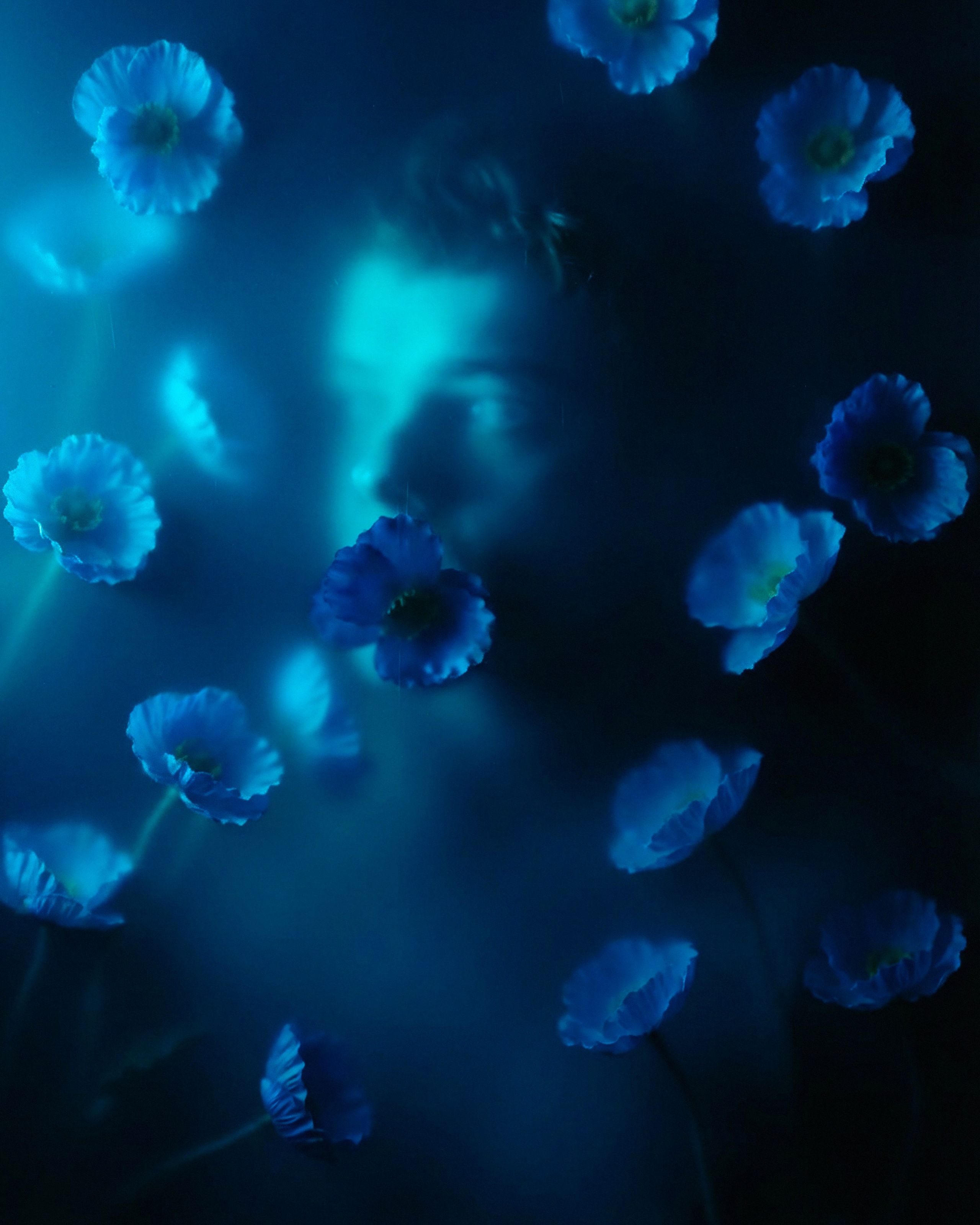 Растворение в цветах