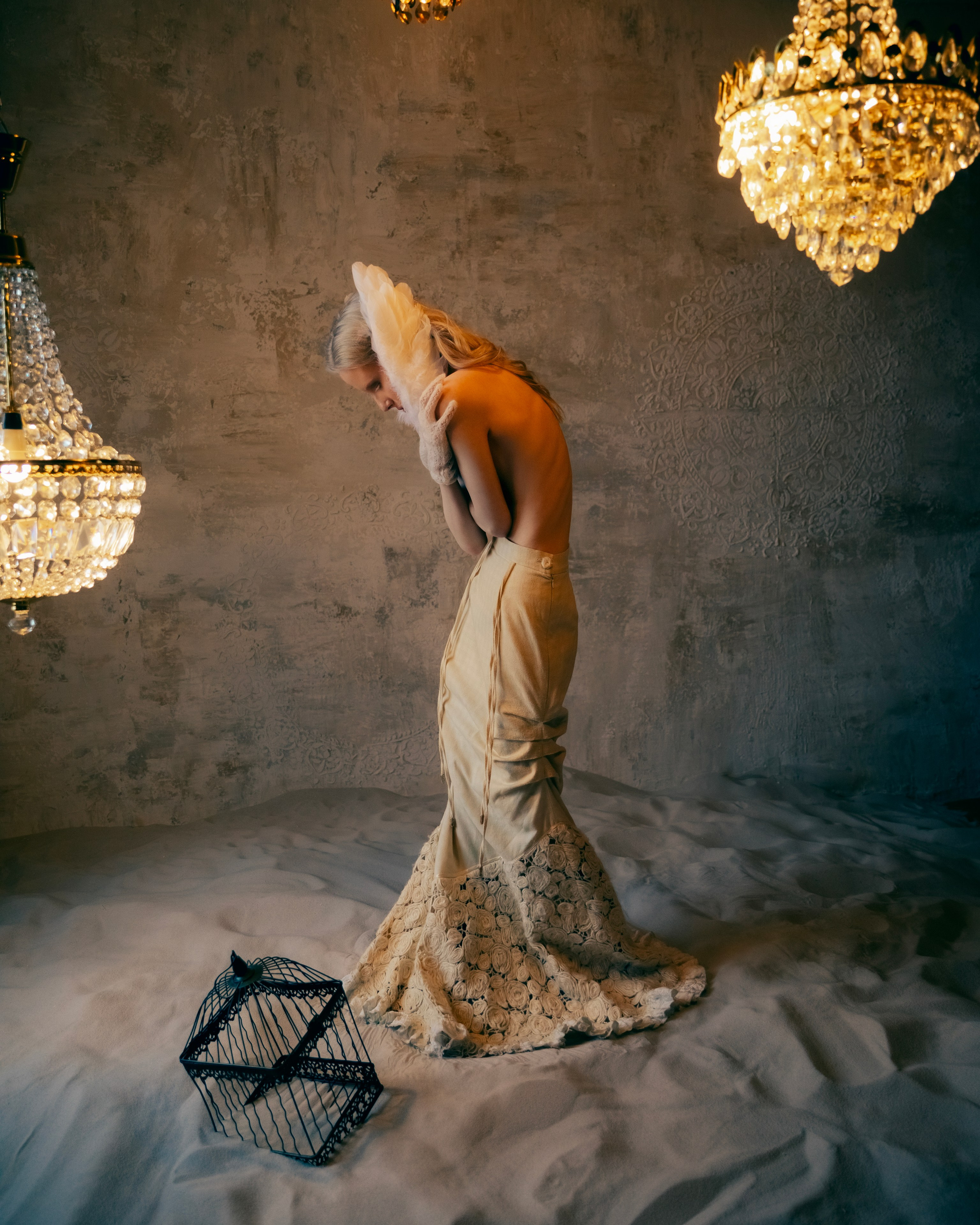 Белое крыло