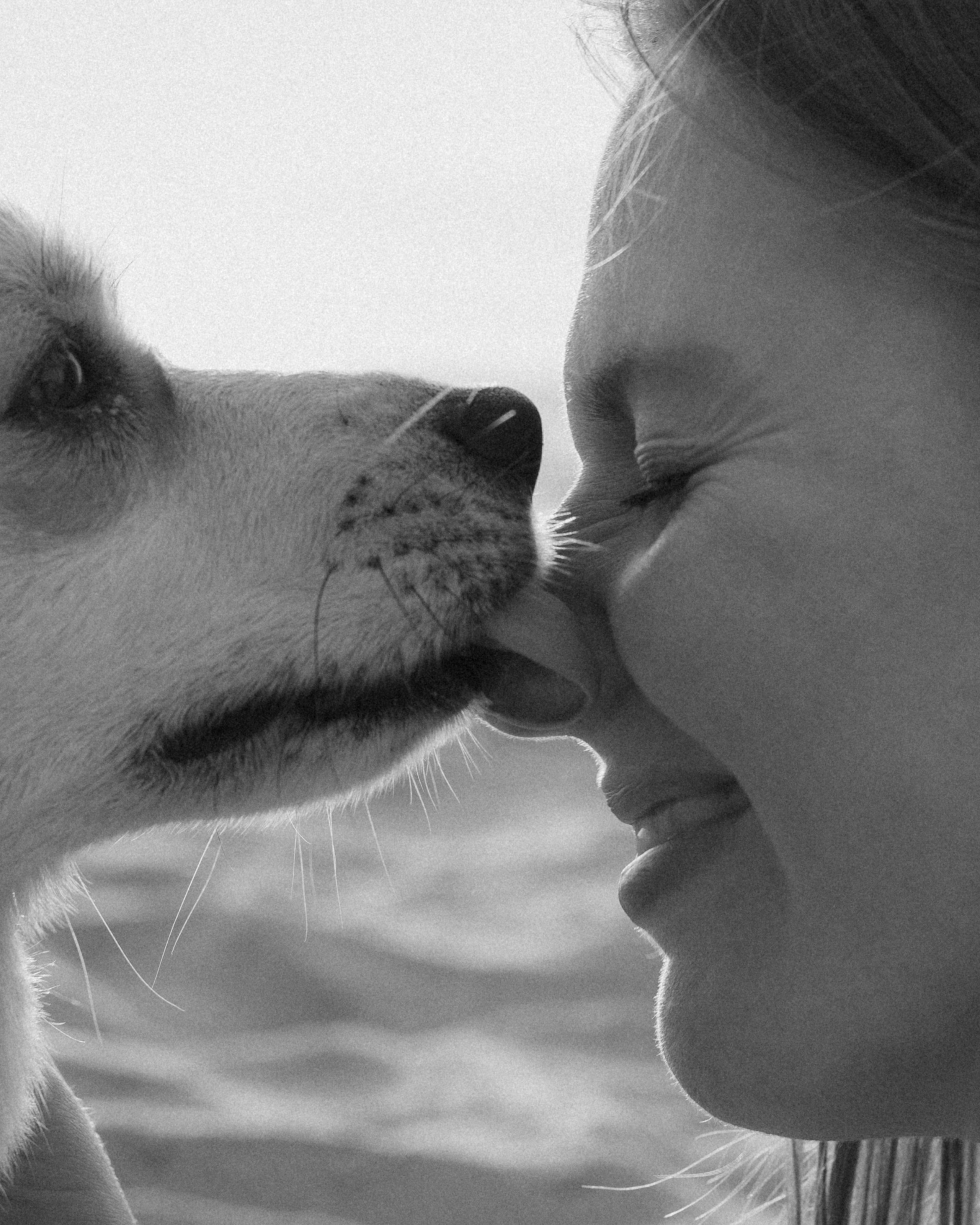 Фотосессия с&nbsp;собакой в&nbsp;Калининграде на&nbsp;Балтийском море / Донское