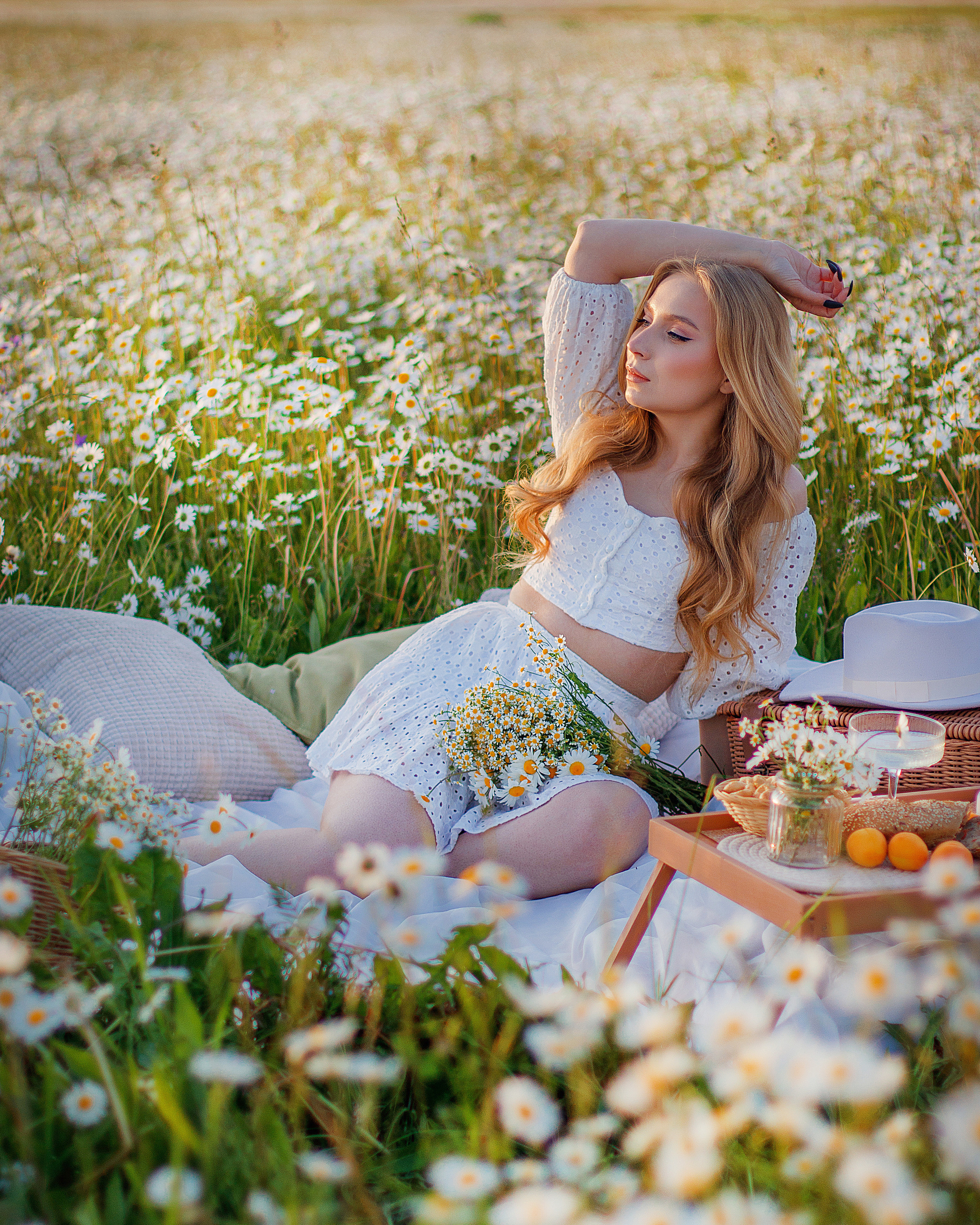 Ромашковое поле