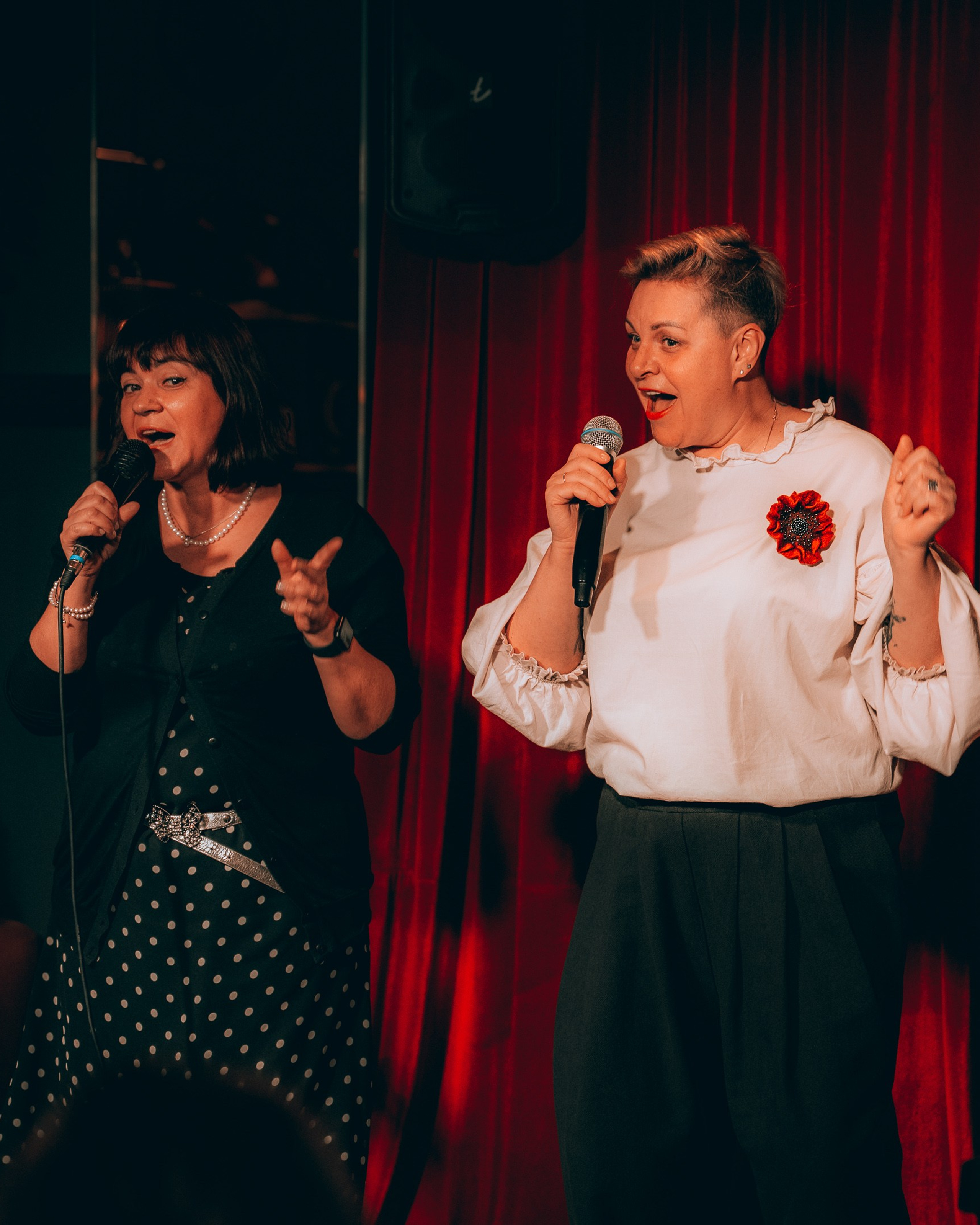 Концерт (Дом винтажной музыки) (19.10.2025)