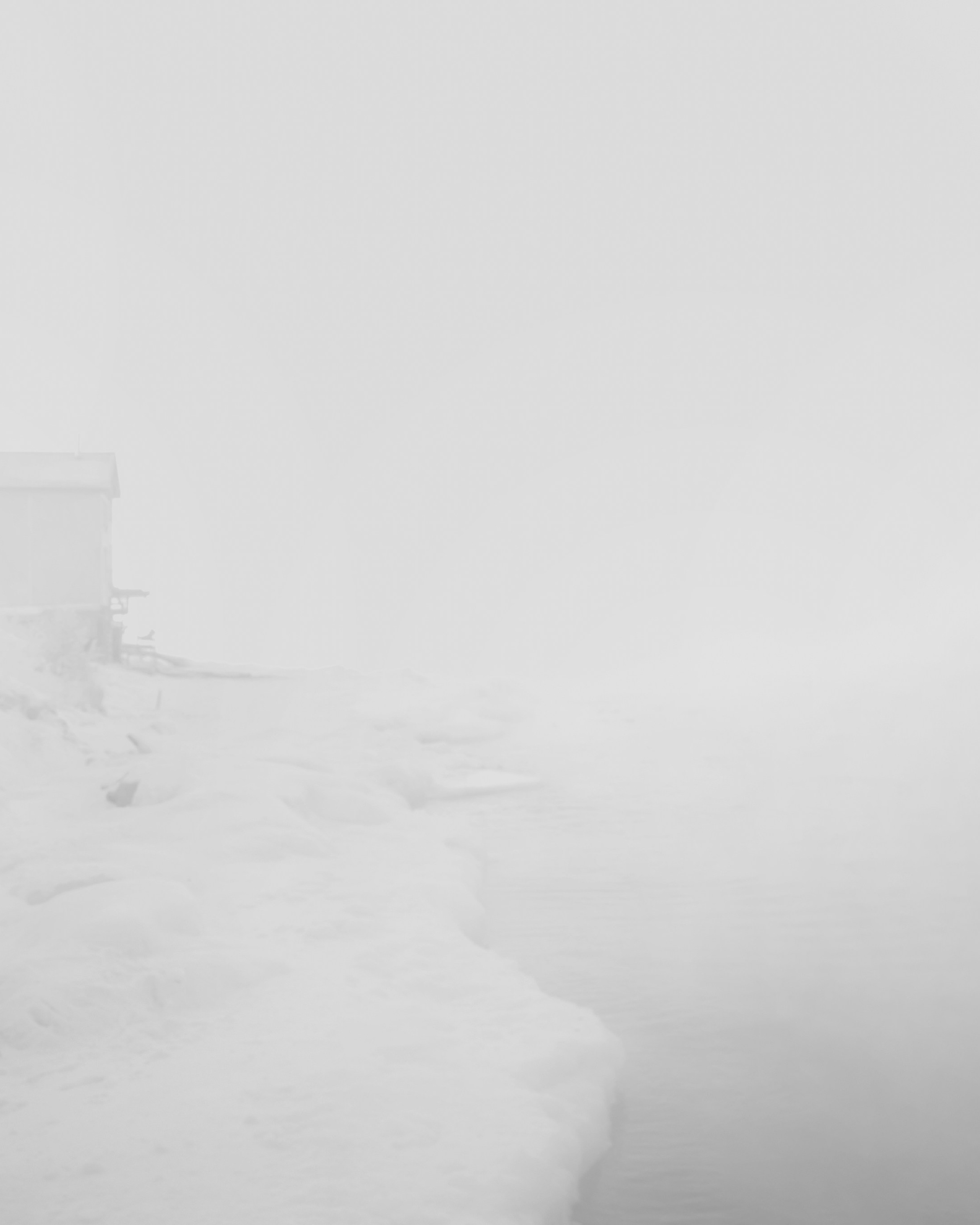 Безмолвие пустоши