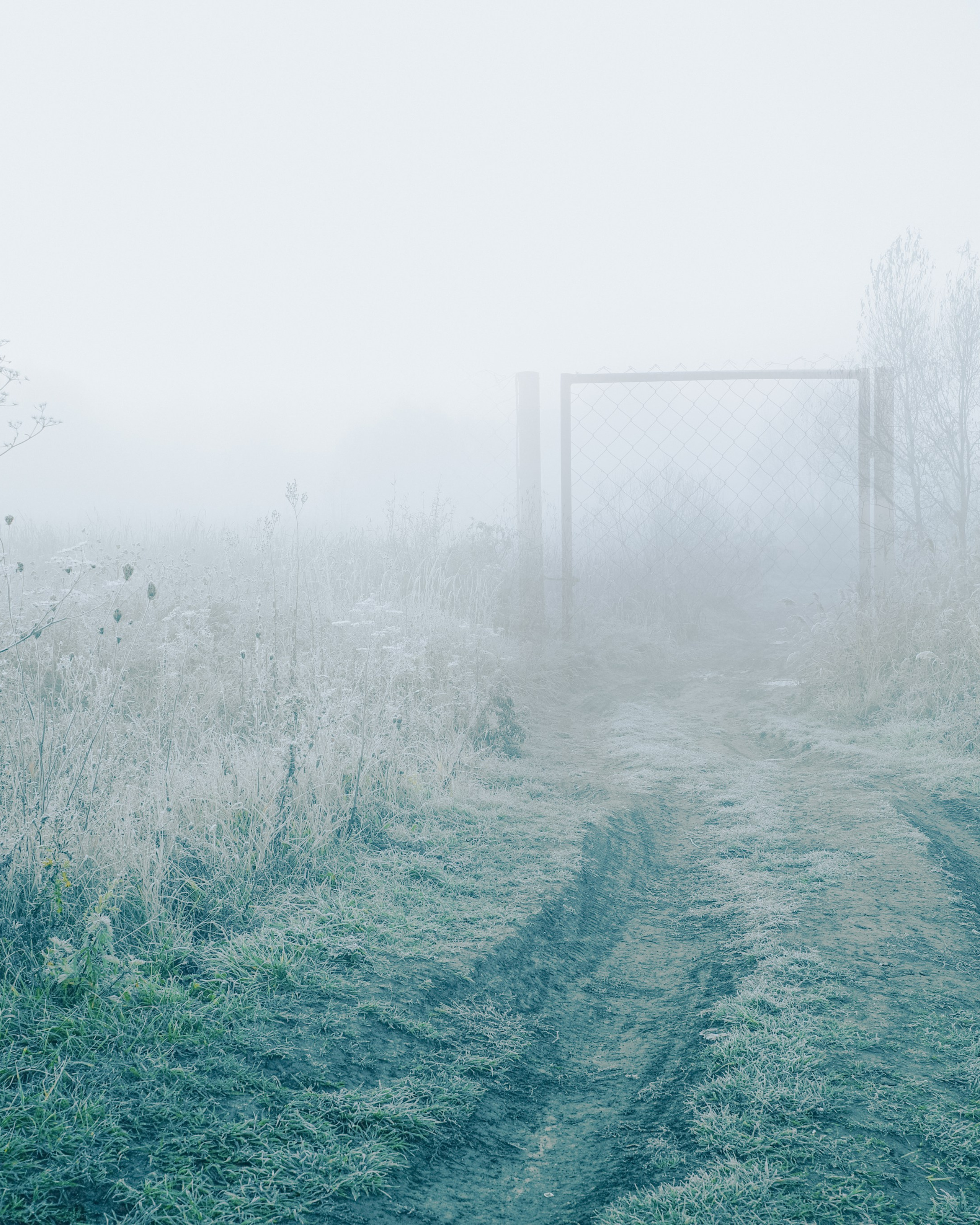 О границах реального