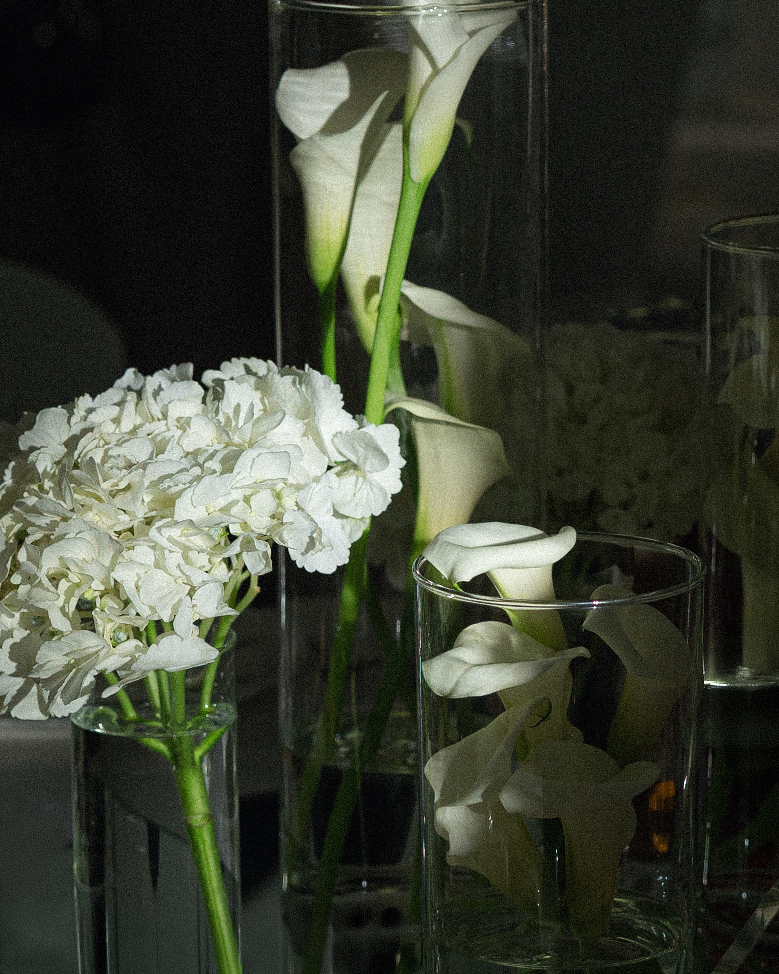 Антон и Анна