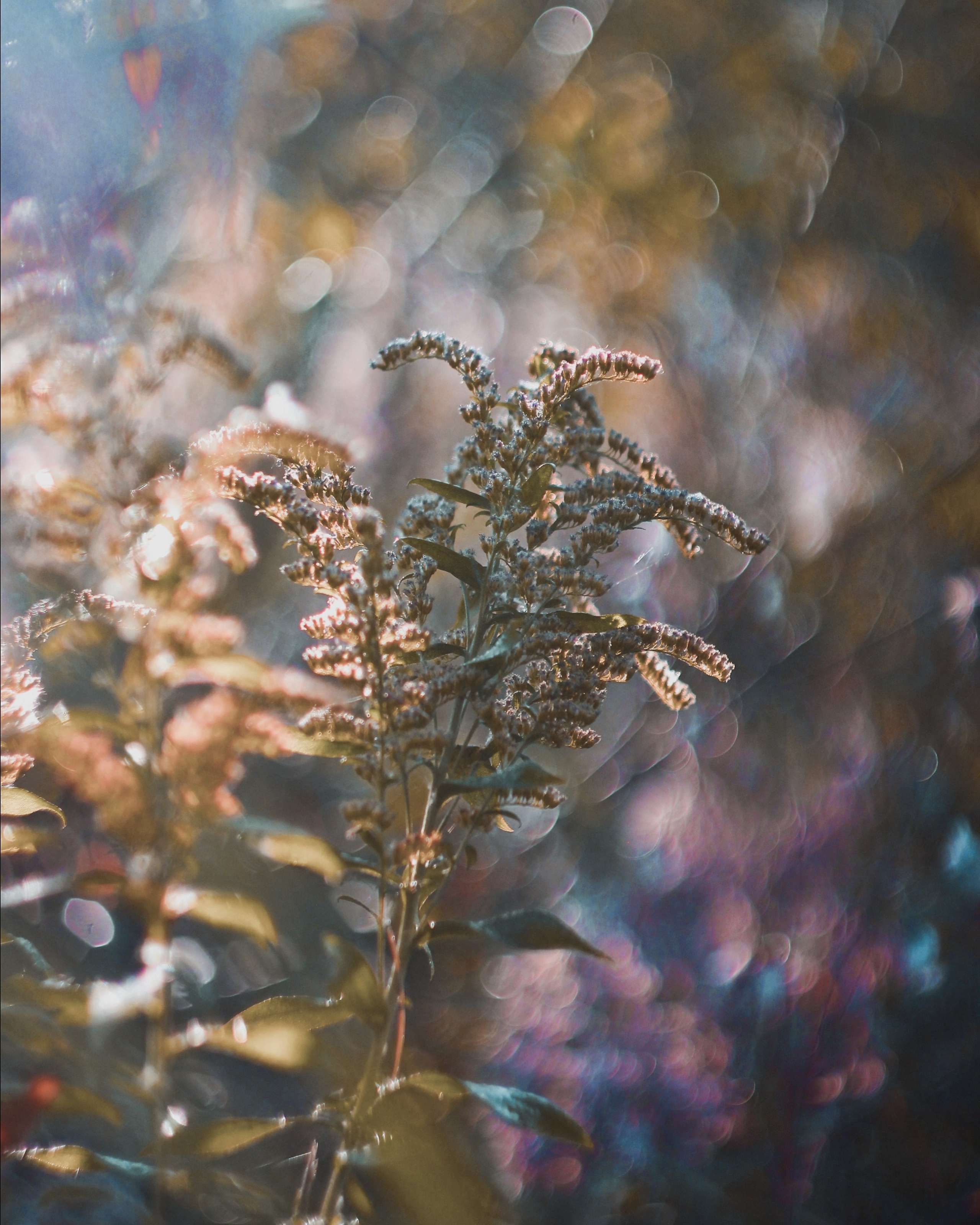 Эфемерная абстракция