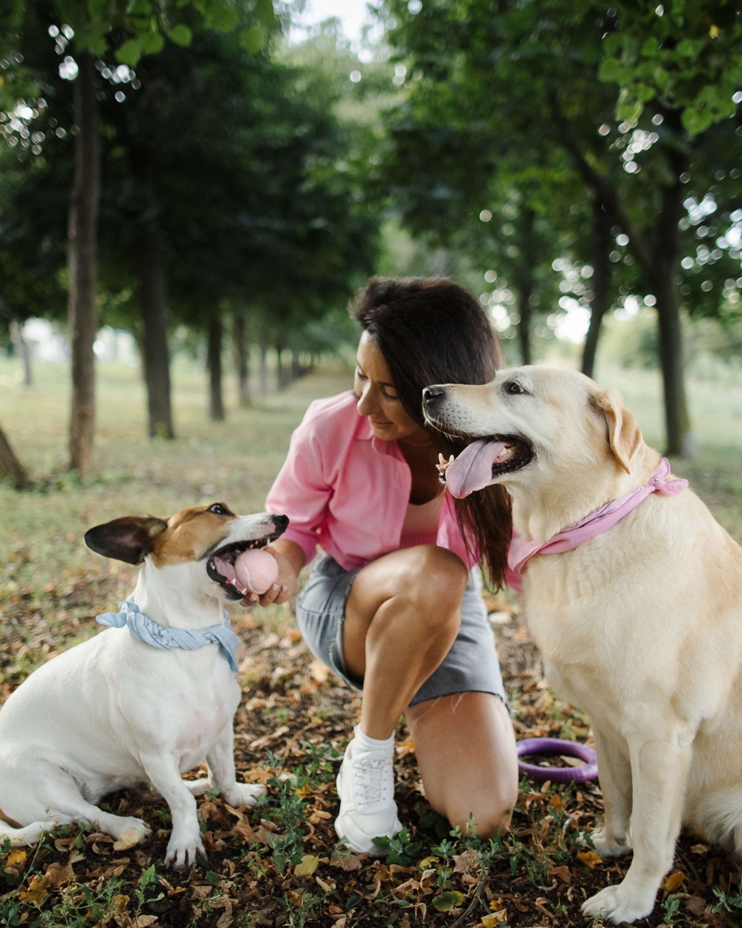 Счастье на четырёх лапах