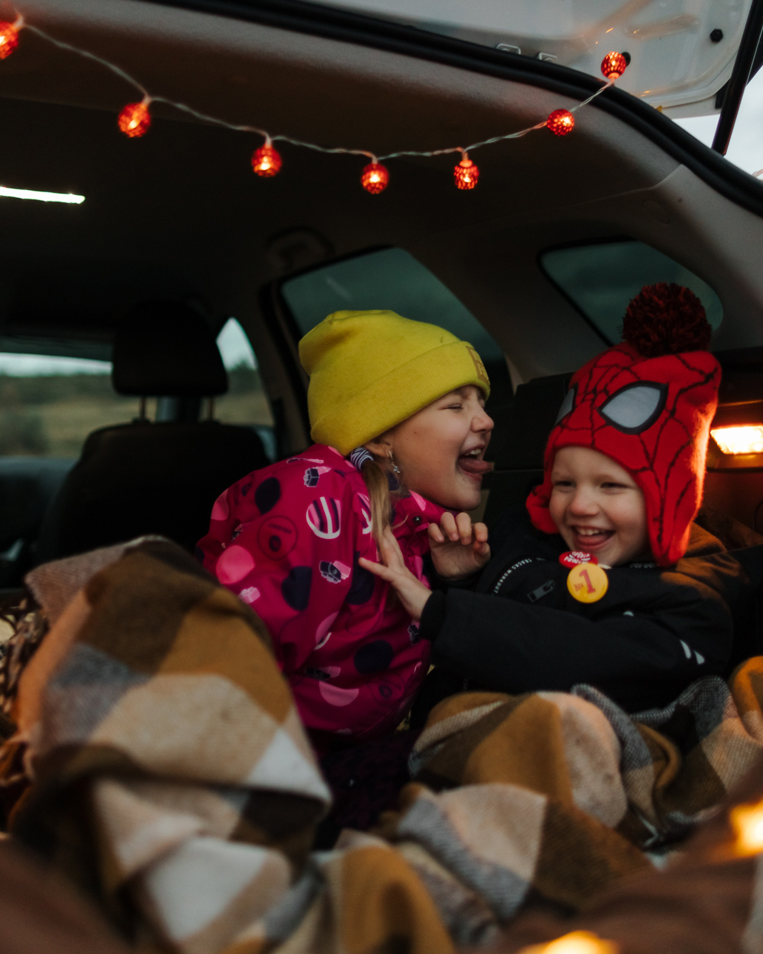 Семейный пикник