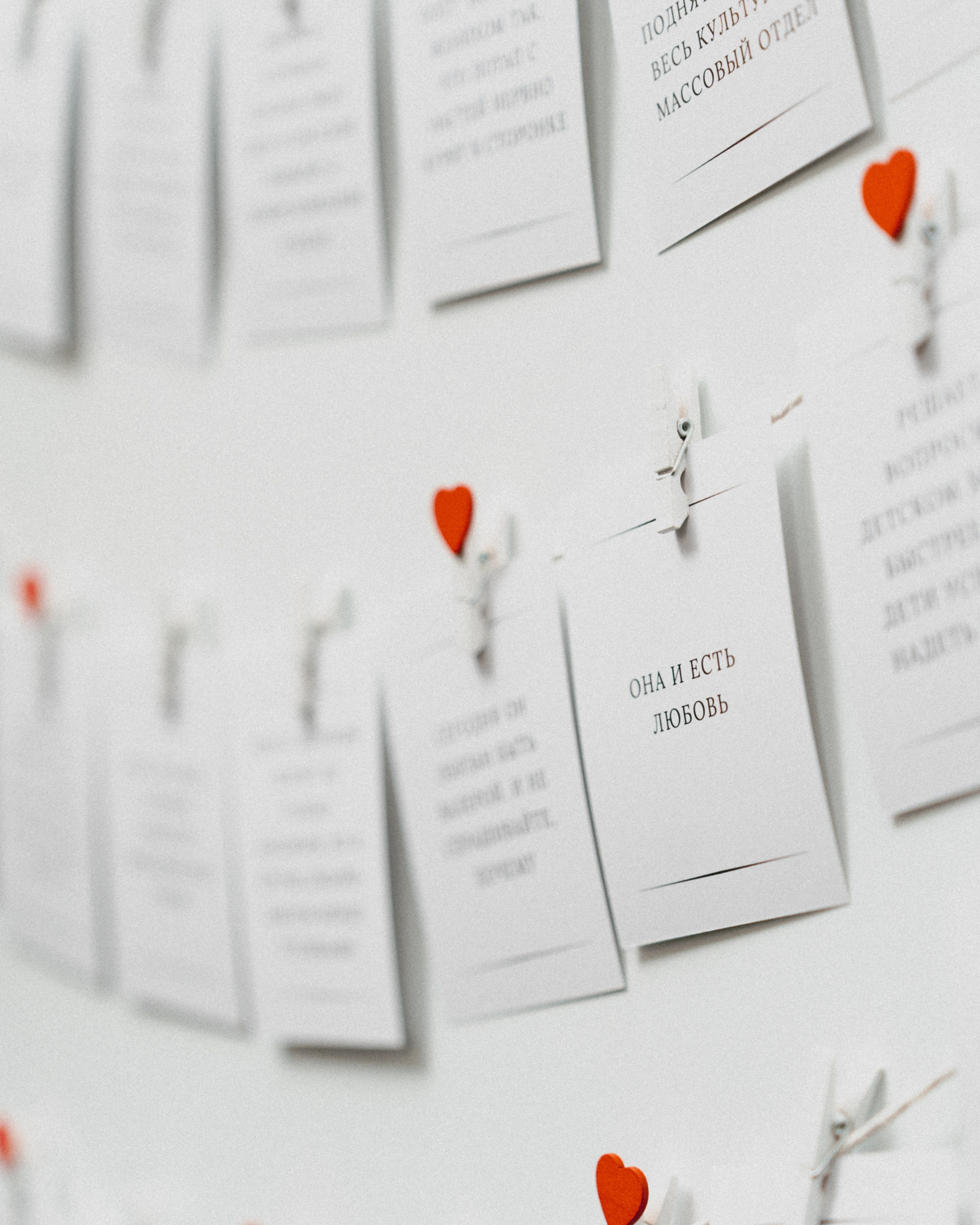 Ангелина & Евгений