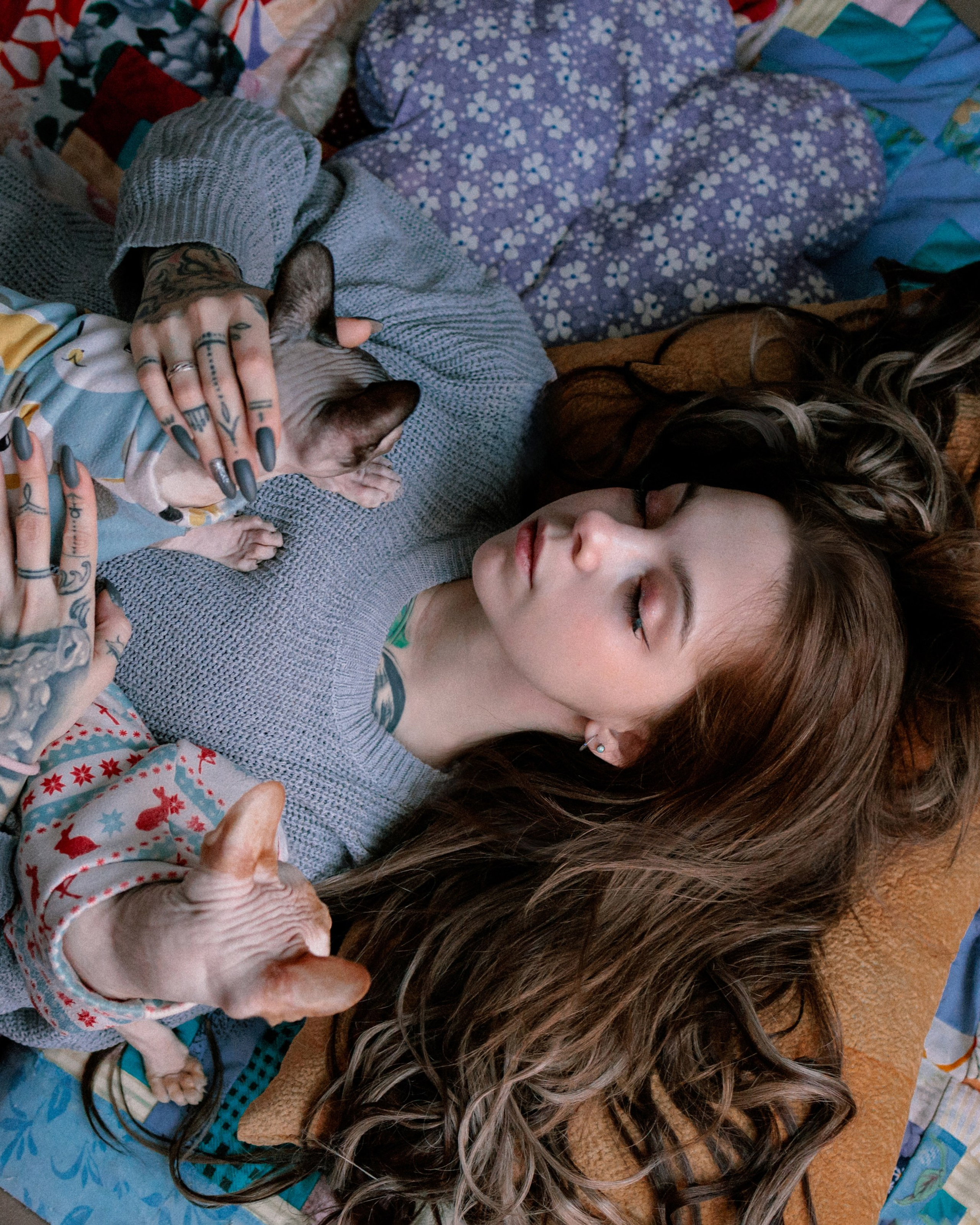 Алиса и котики