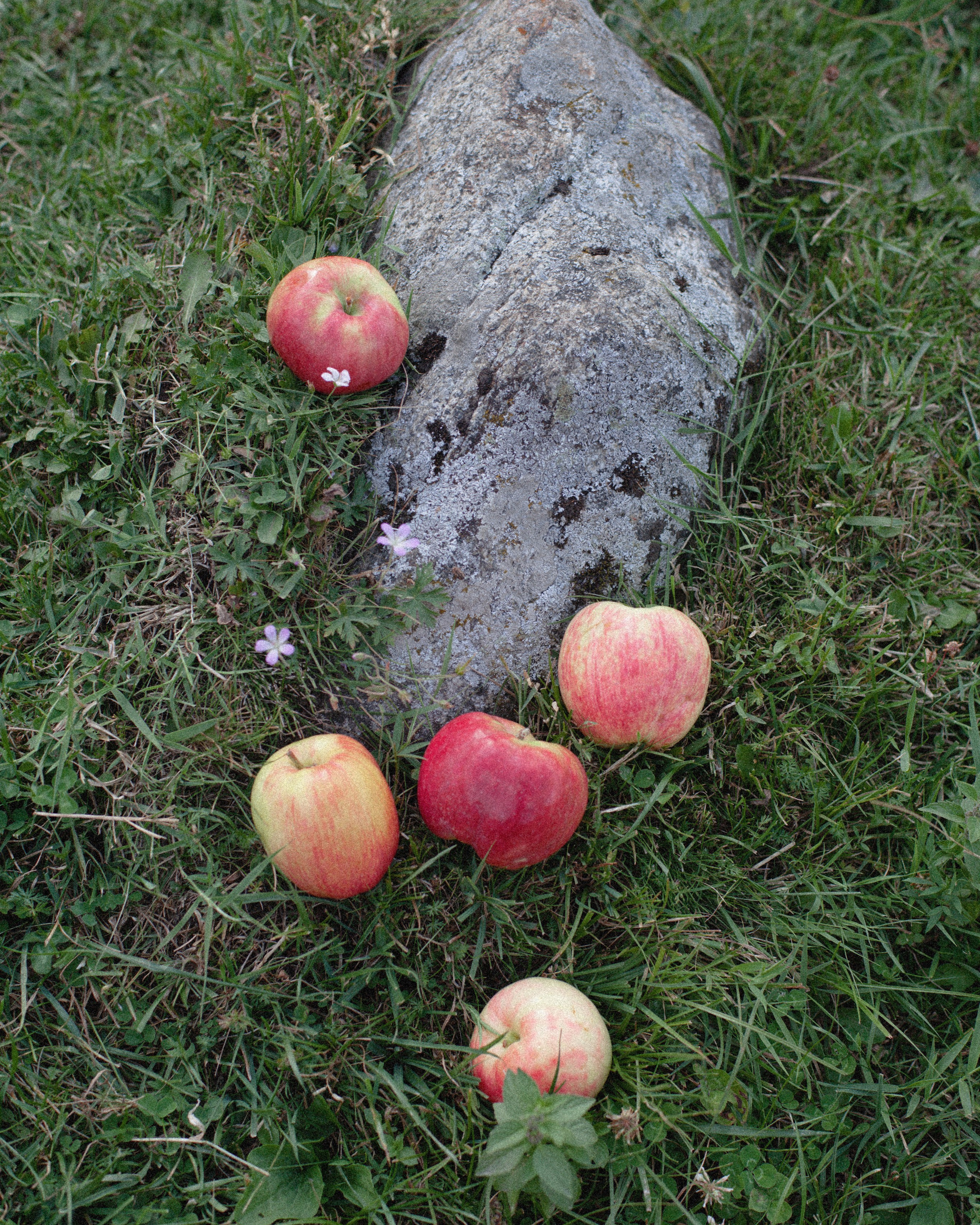 Eyerepublic magazine