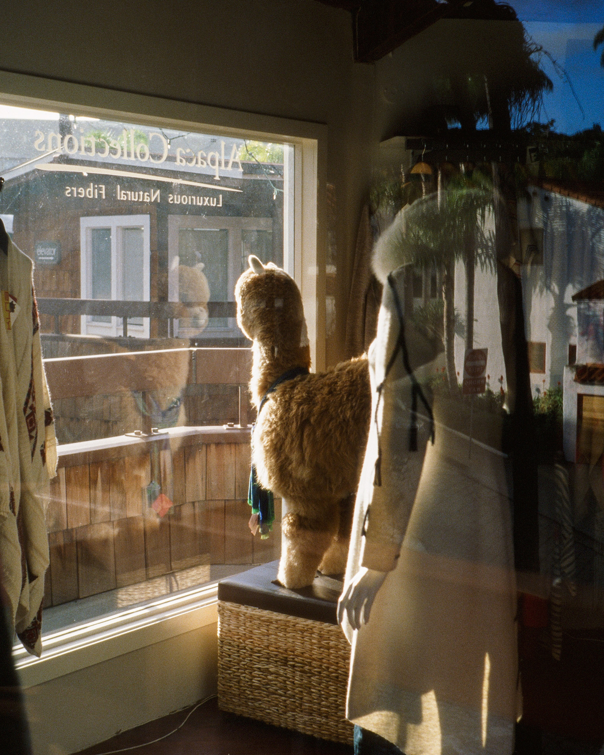 CALIFORNIA on film (snapshots)