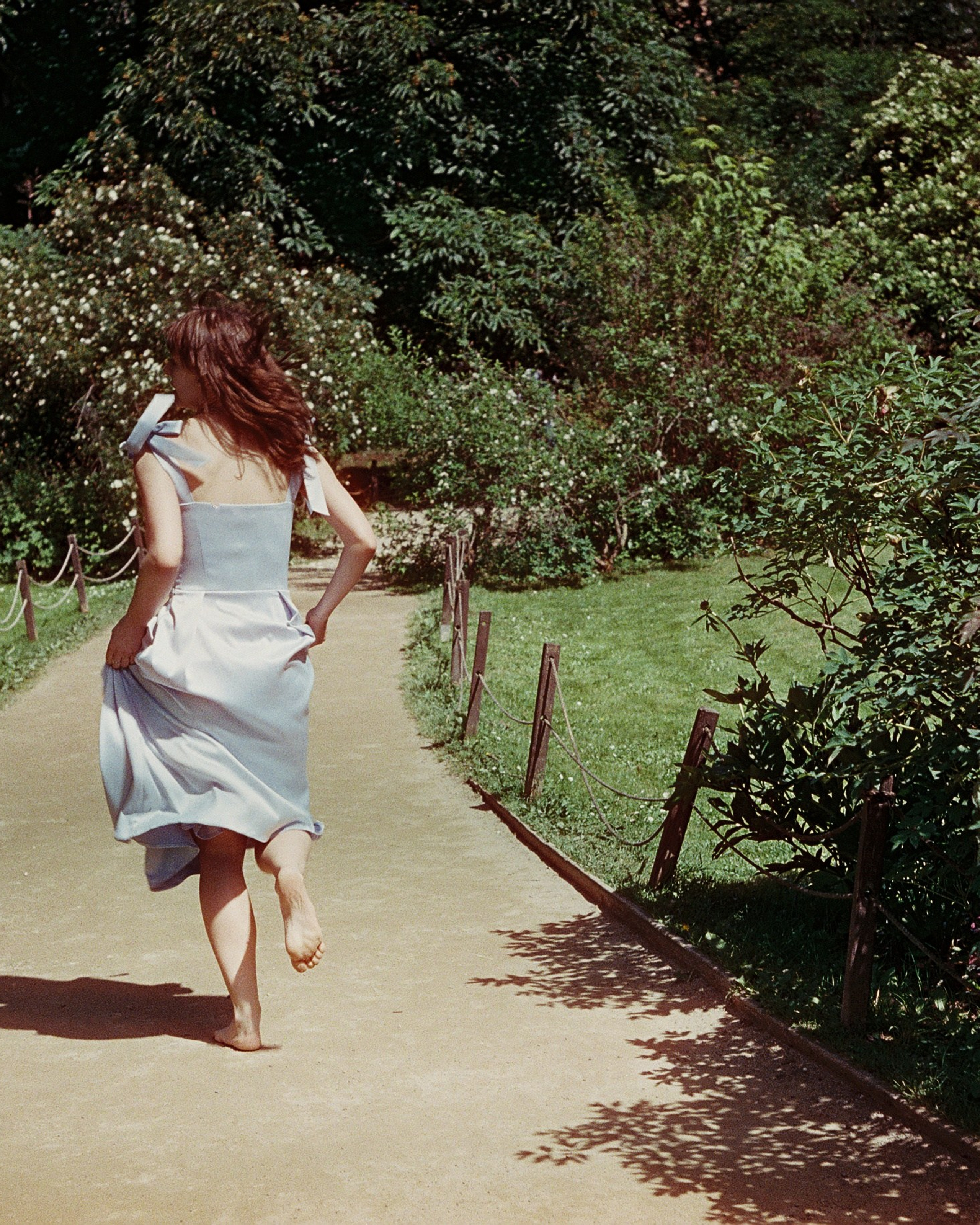 Анастасия — Оранжерея