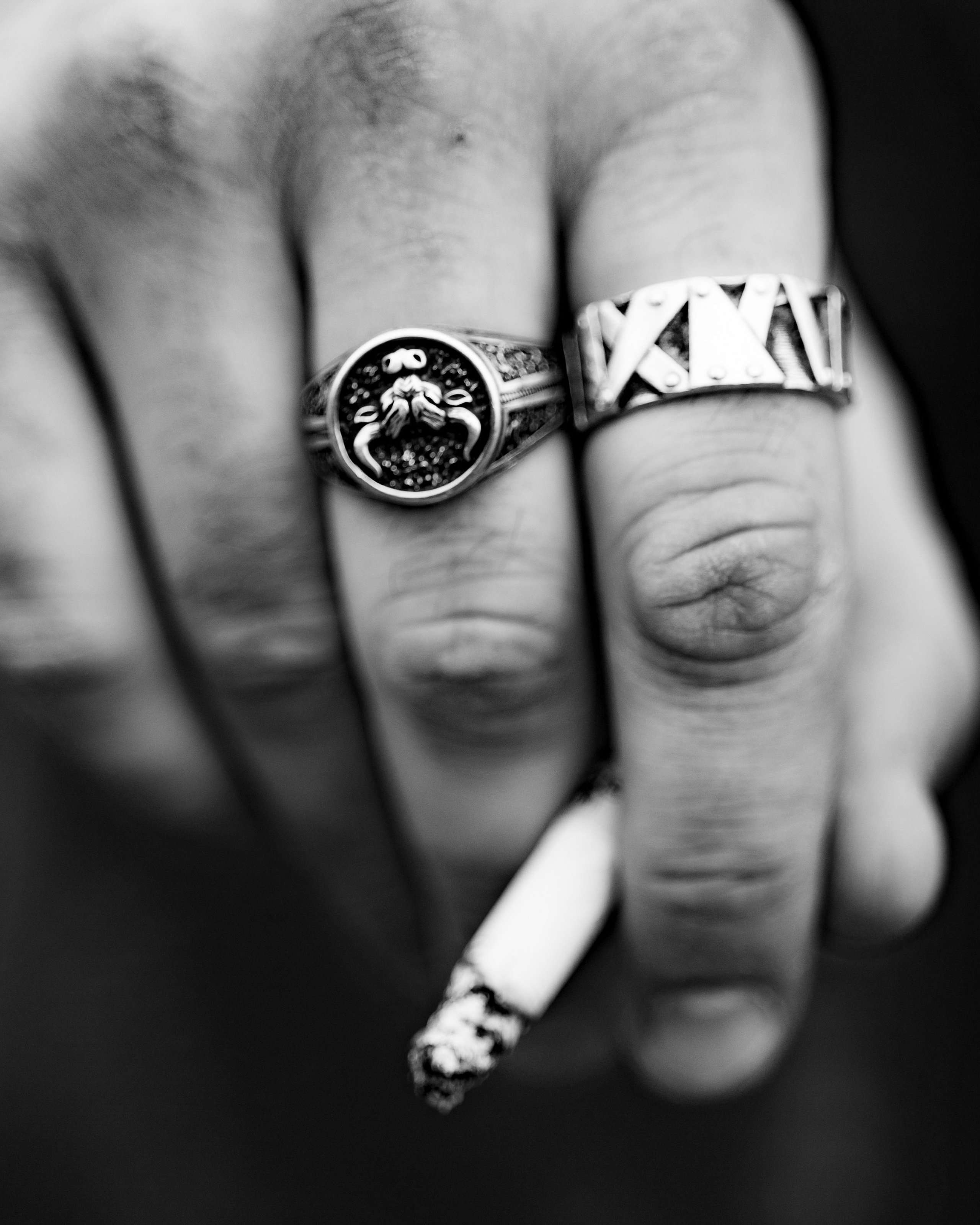 Рок-группа Буйволы Кэтти.