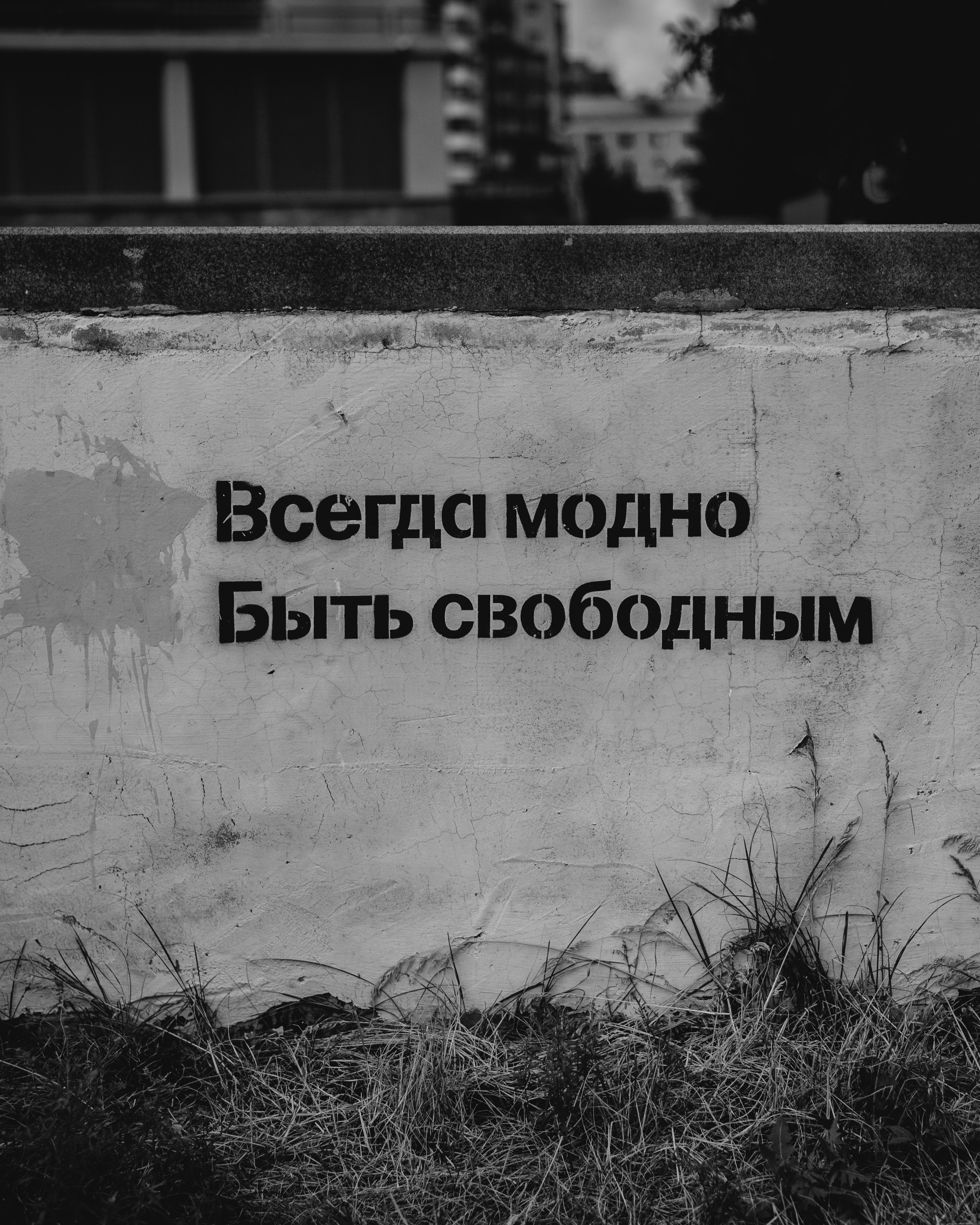 Модно быть свободным