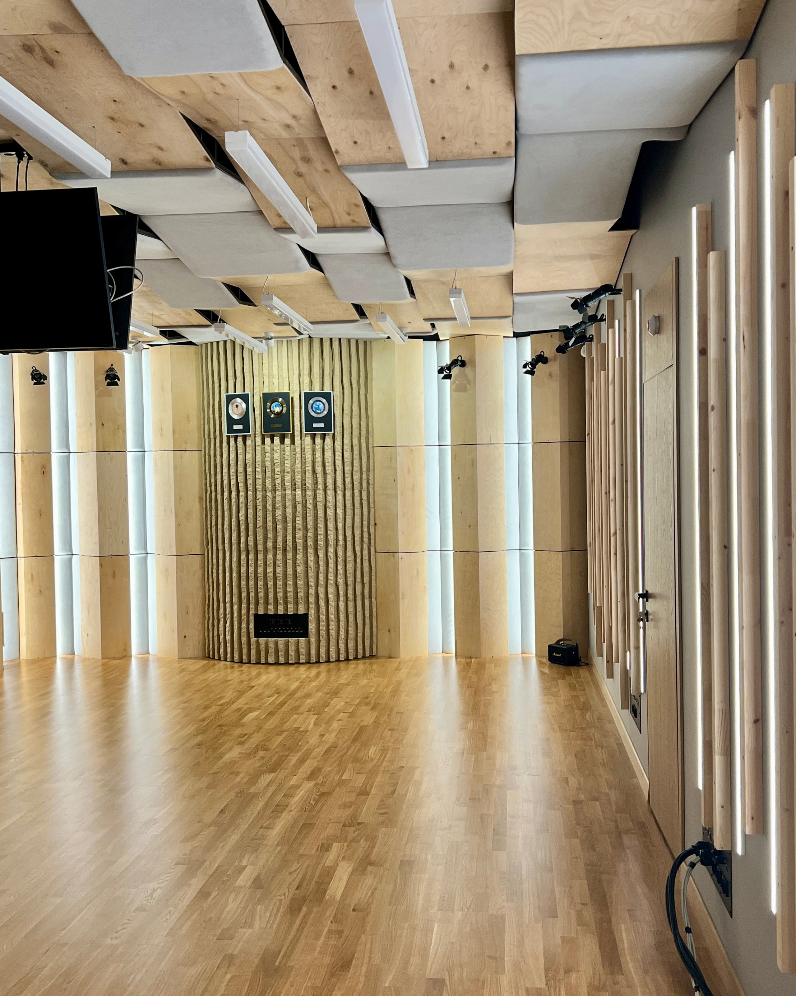 Лаунж-студия 150 м²