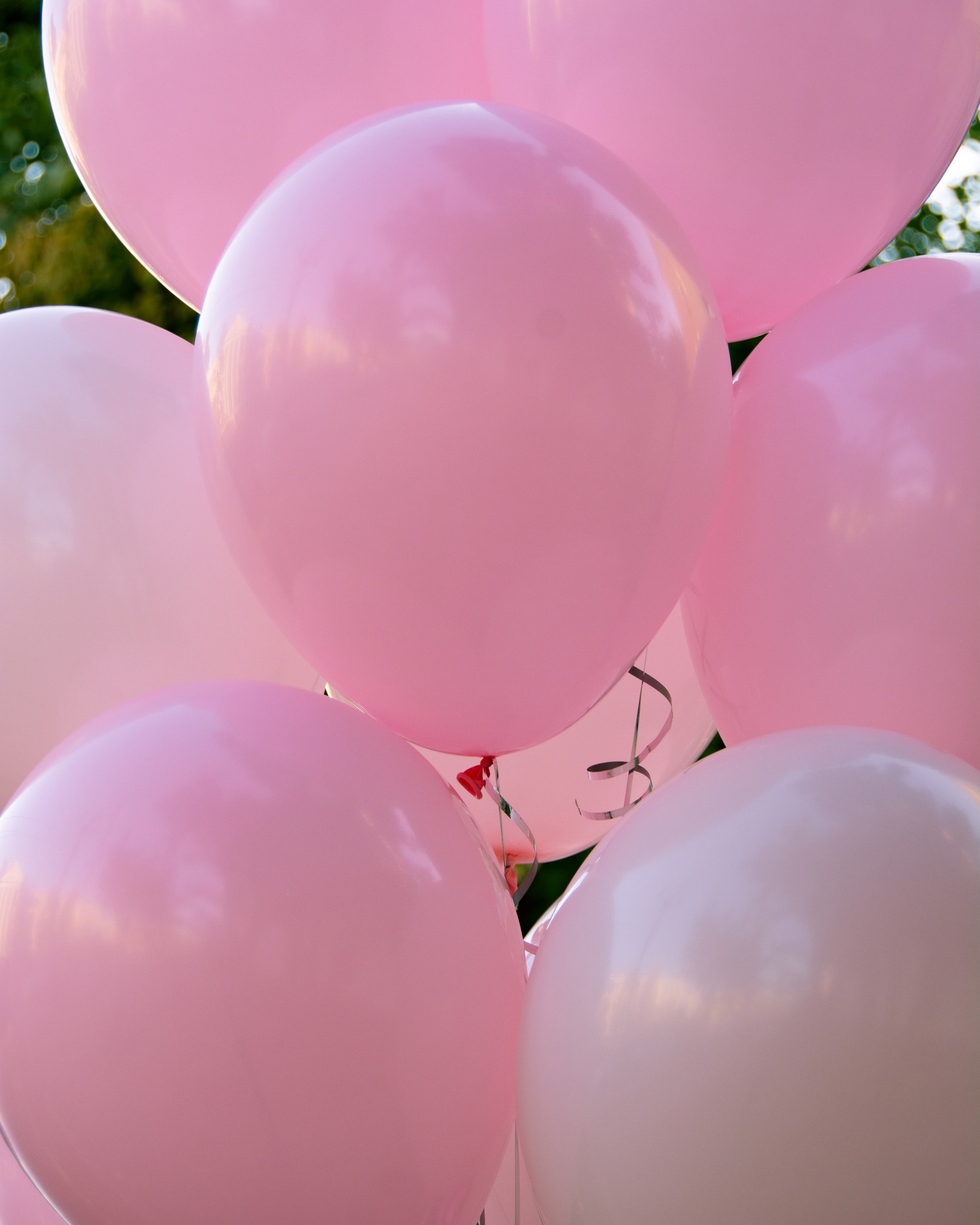 Выписка Амелии