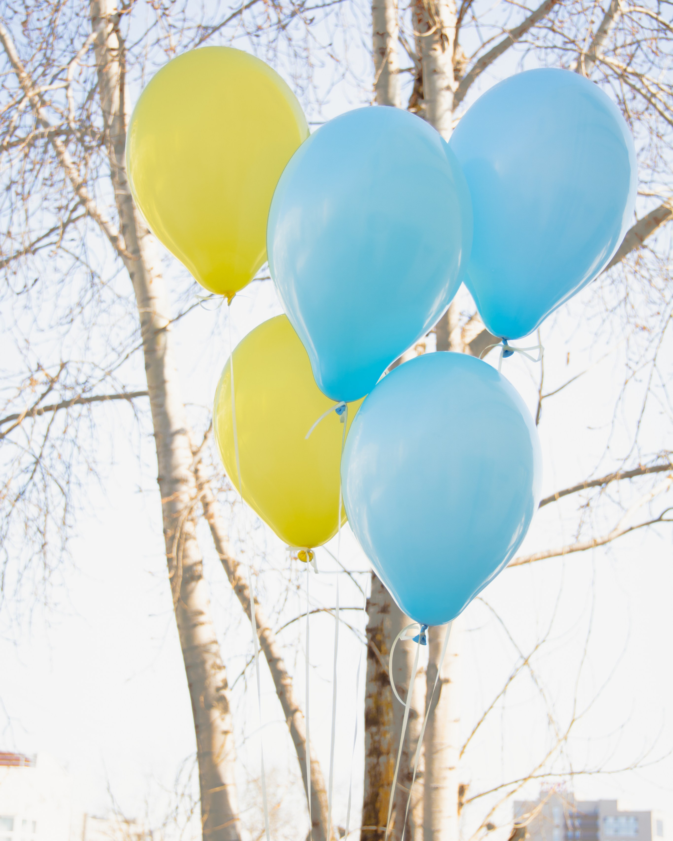 Выписка Тимоши