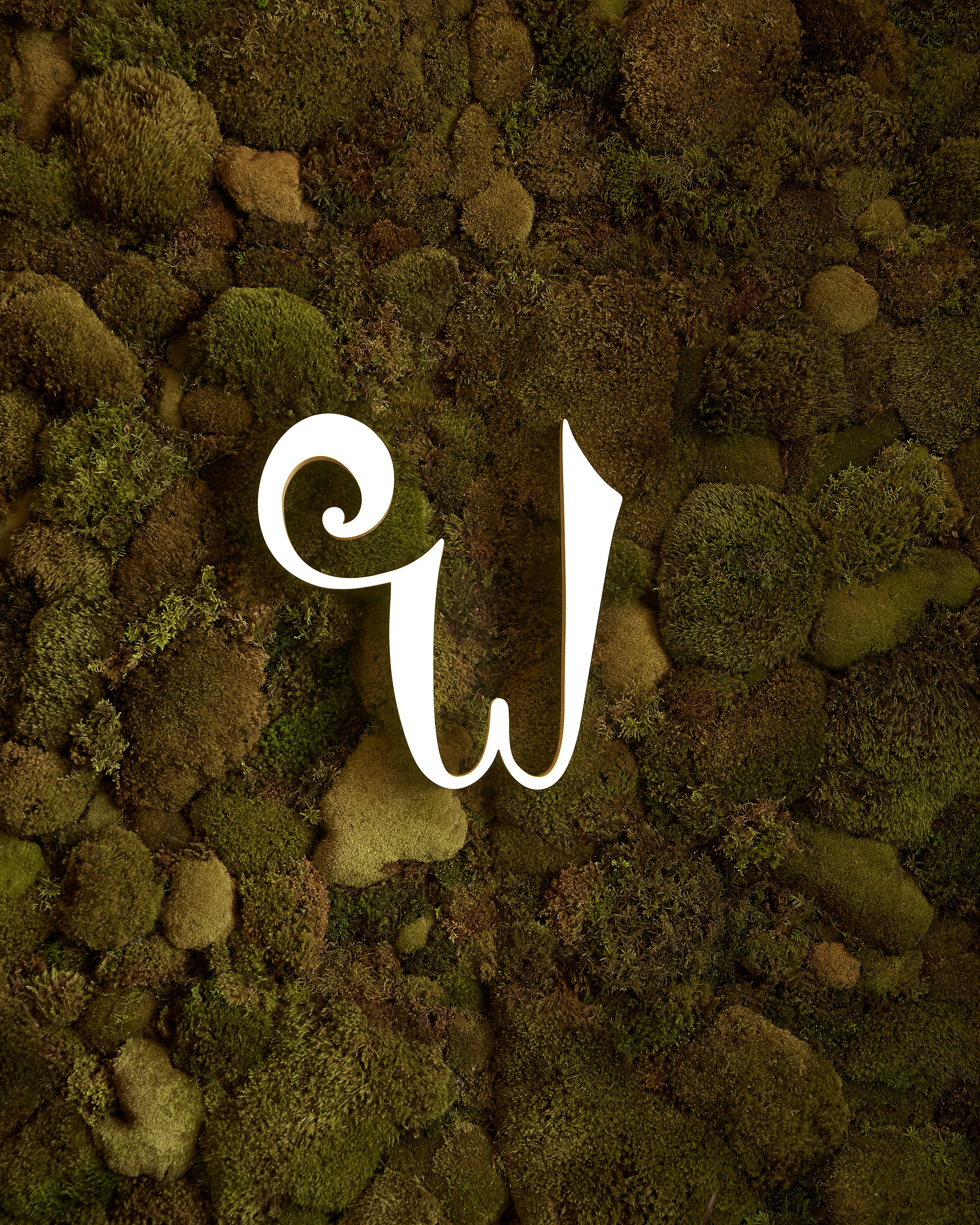 Wonderland (бизнес съёмка)