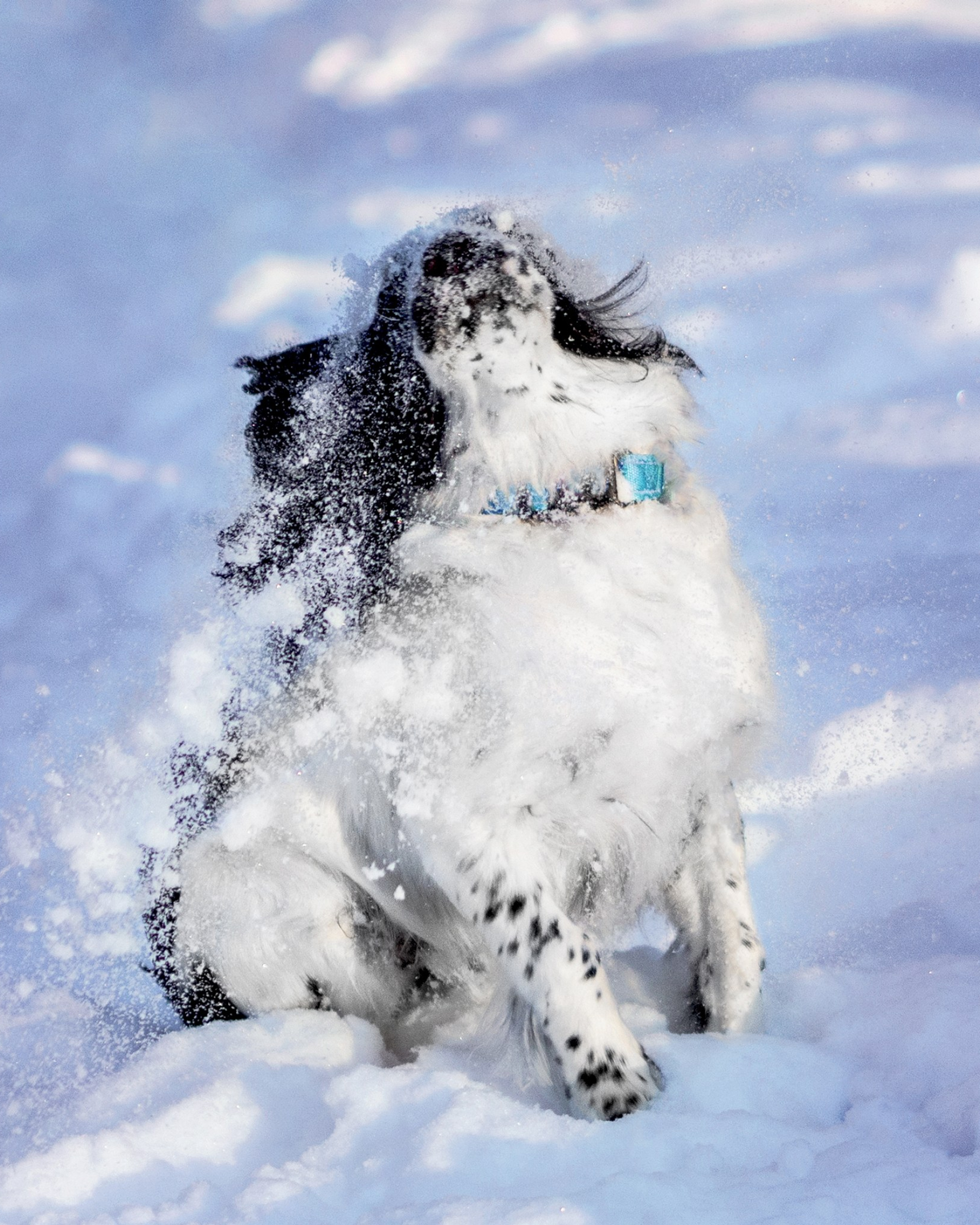 Саша и Стив