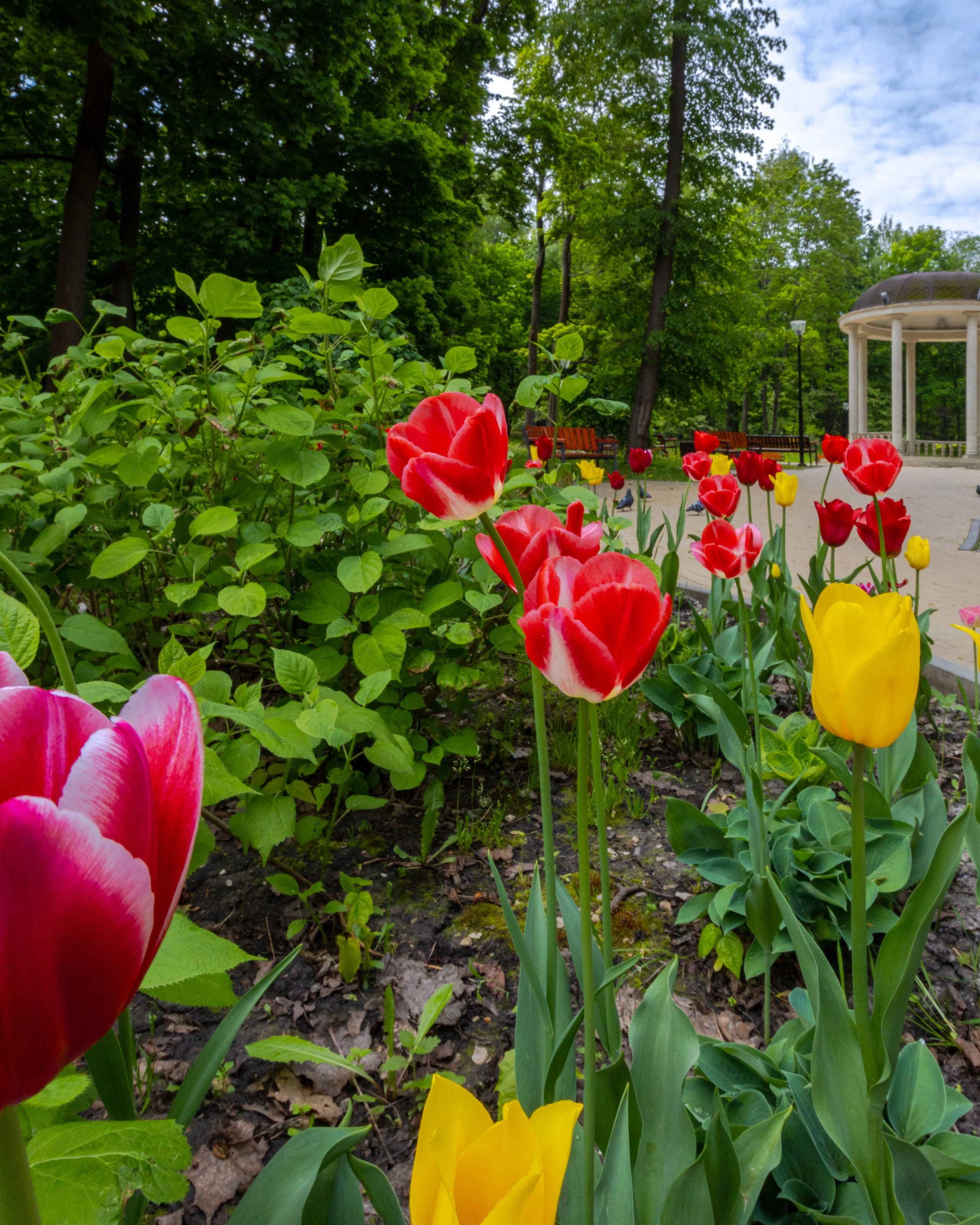 Парк им.&nbsp;П.&nbsp;П.&nbsp;Белоусова&nbsp;г.&nbsp;Тула 2024&nbsp;г.