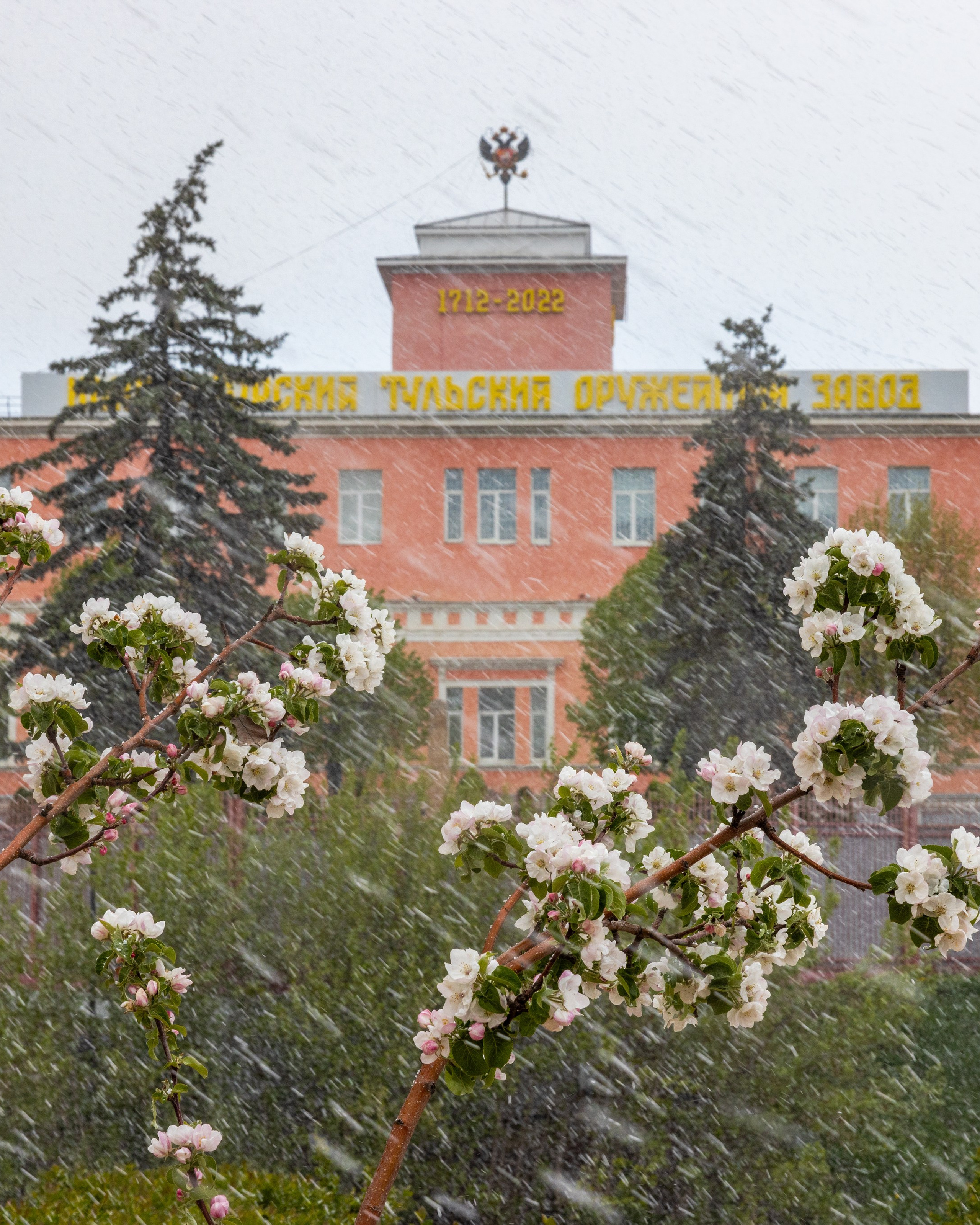 Весеннее цветение в&nbsp;Туле