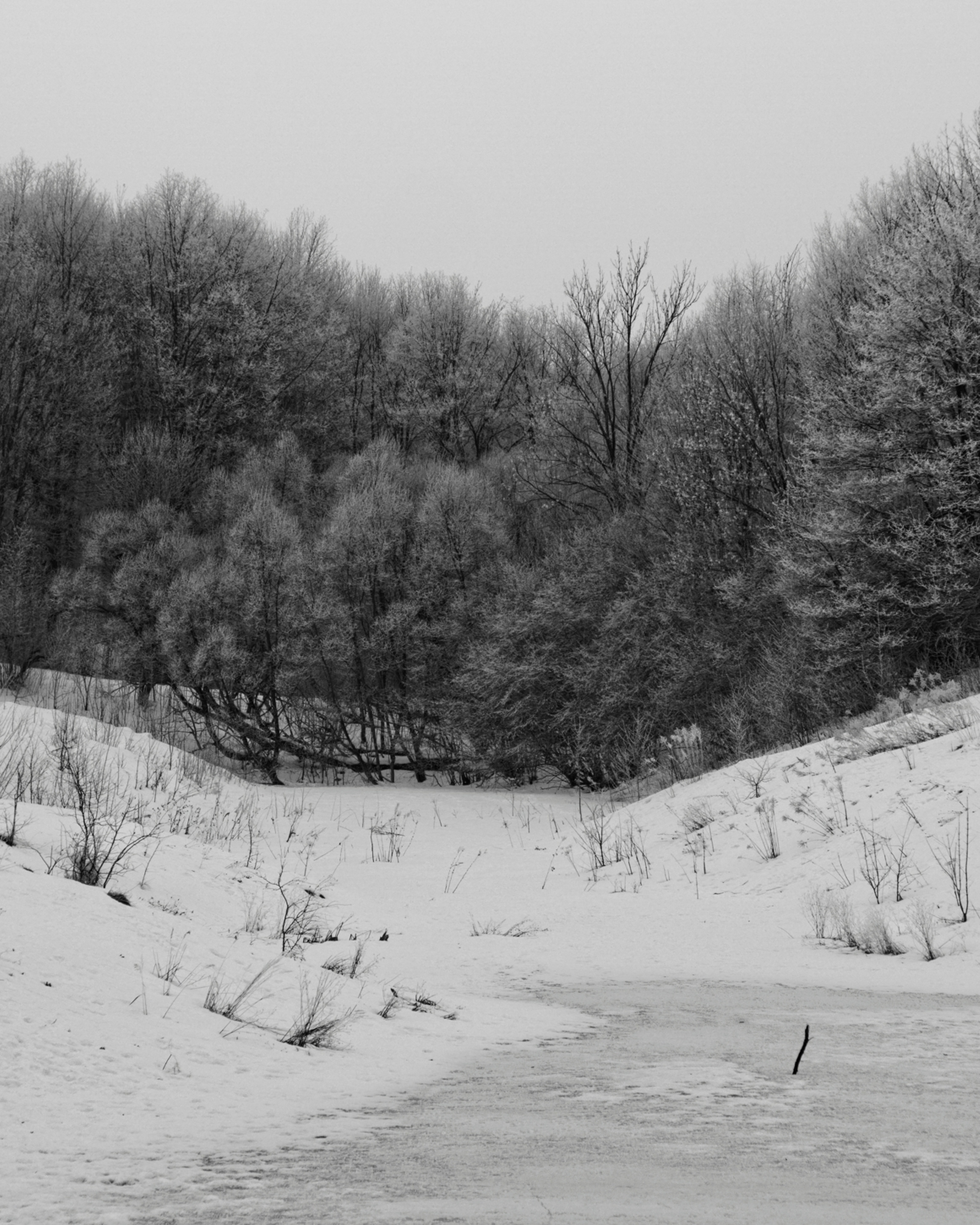Зима в&nbsp;поселке Басово-Прудный и&nbsp;деревне Старое-Басово&nbsp;г.&nbsp;Тула