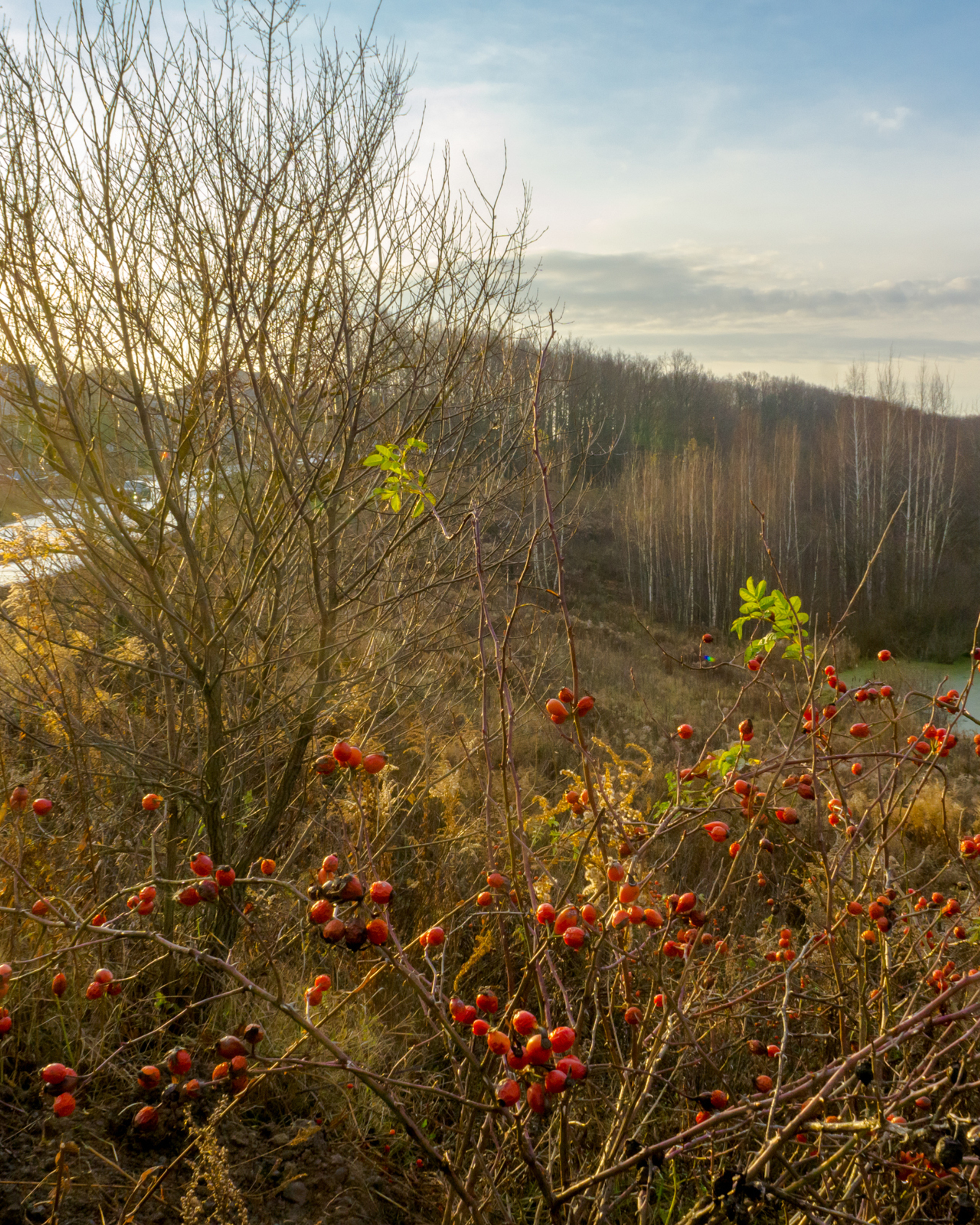 Осень в&nbsp;поселке Басово-Прудный и&nbsp;деревне Старое Басово&nbsp;г.&nbsp;Тула