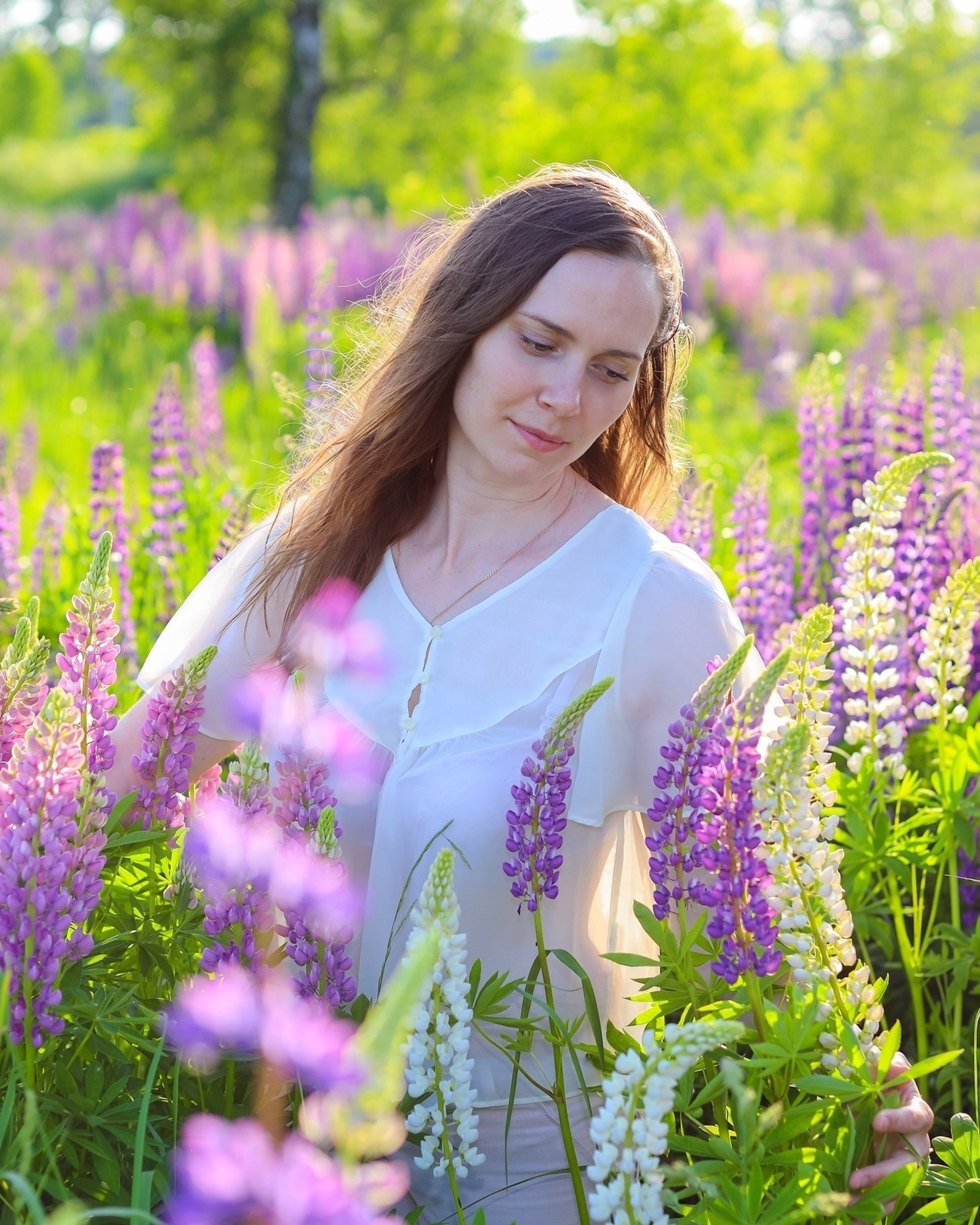 Прогулка на&nbsp;поле люпинов.