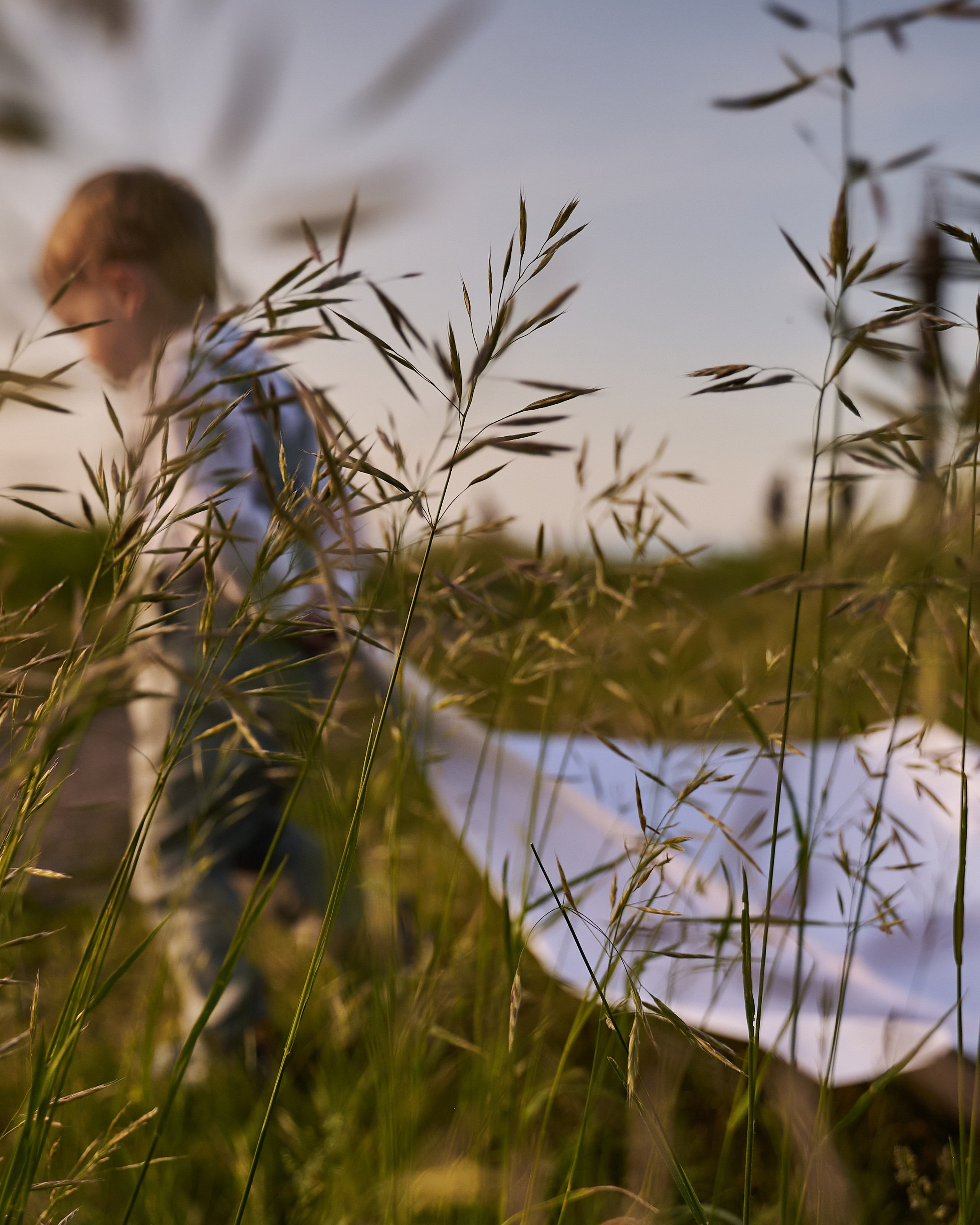 Летняя история. Бумажный самолёт