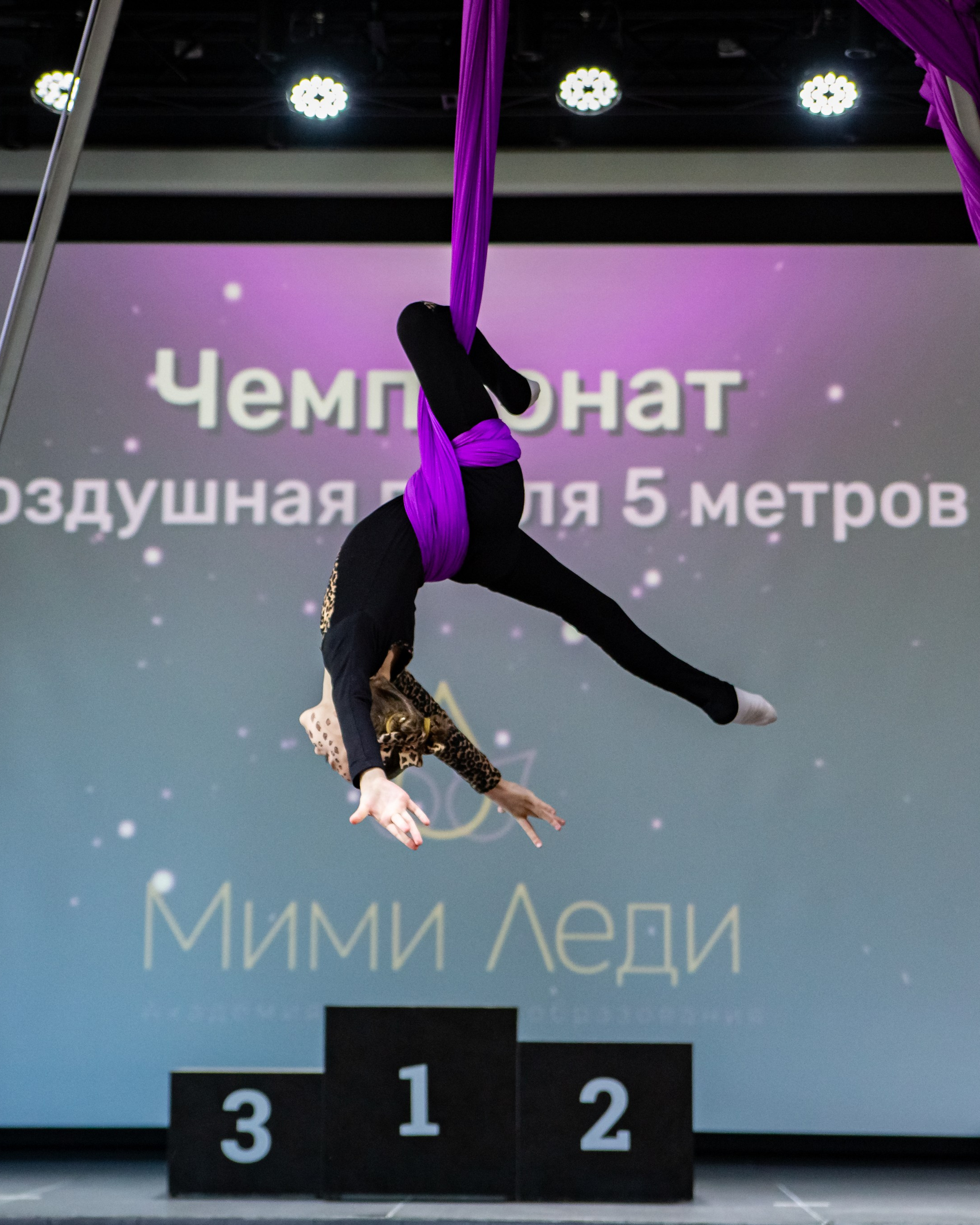 Чемпионат по&nbsp;воздушной гимнастике