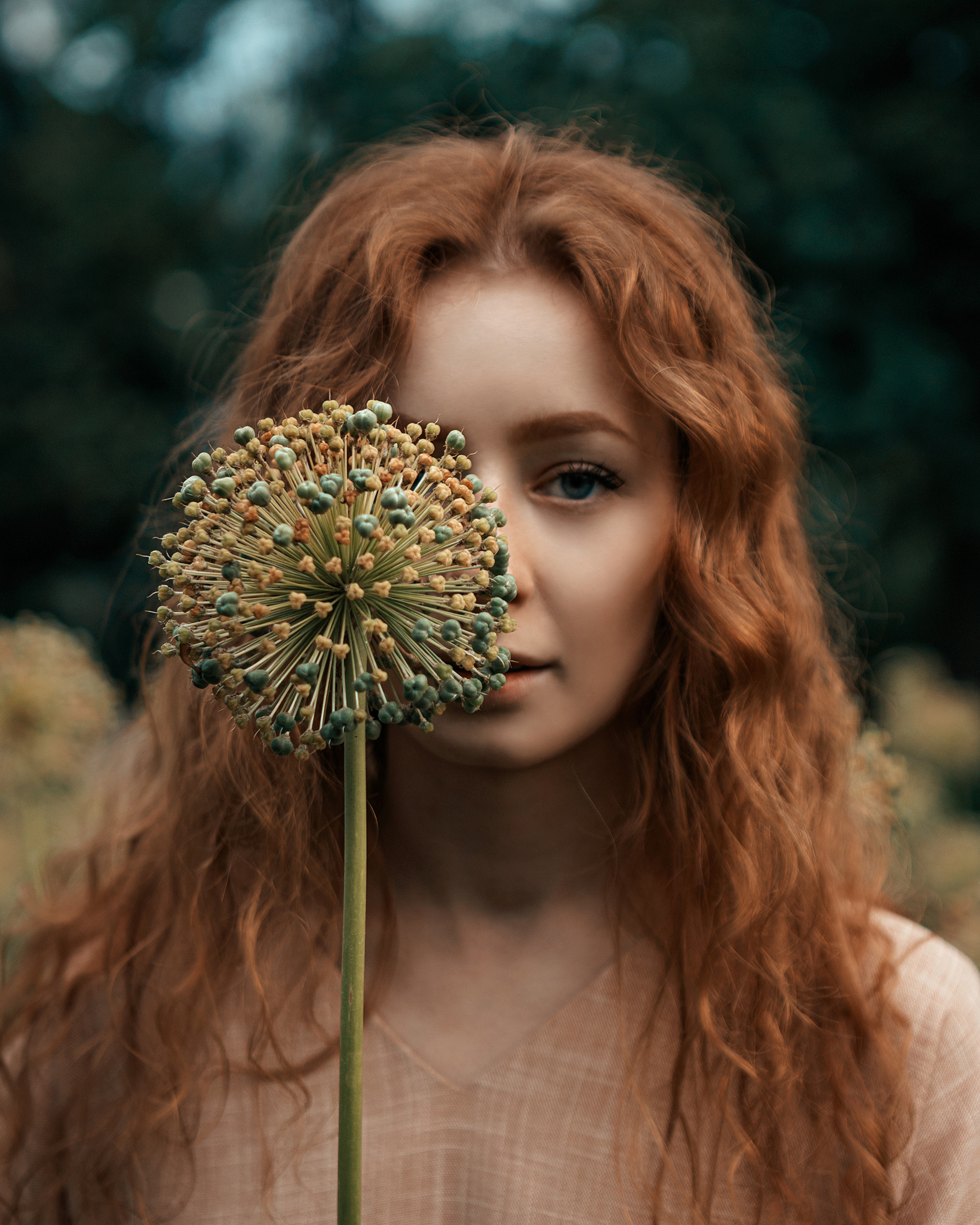 SVETA