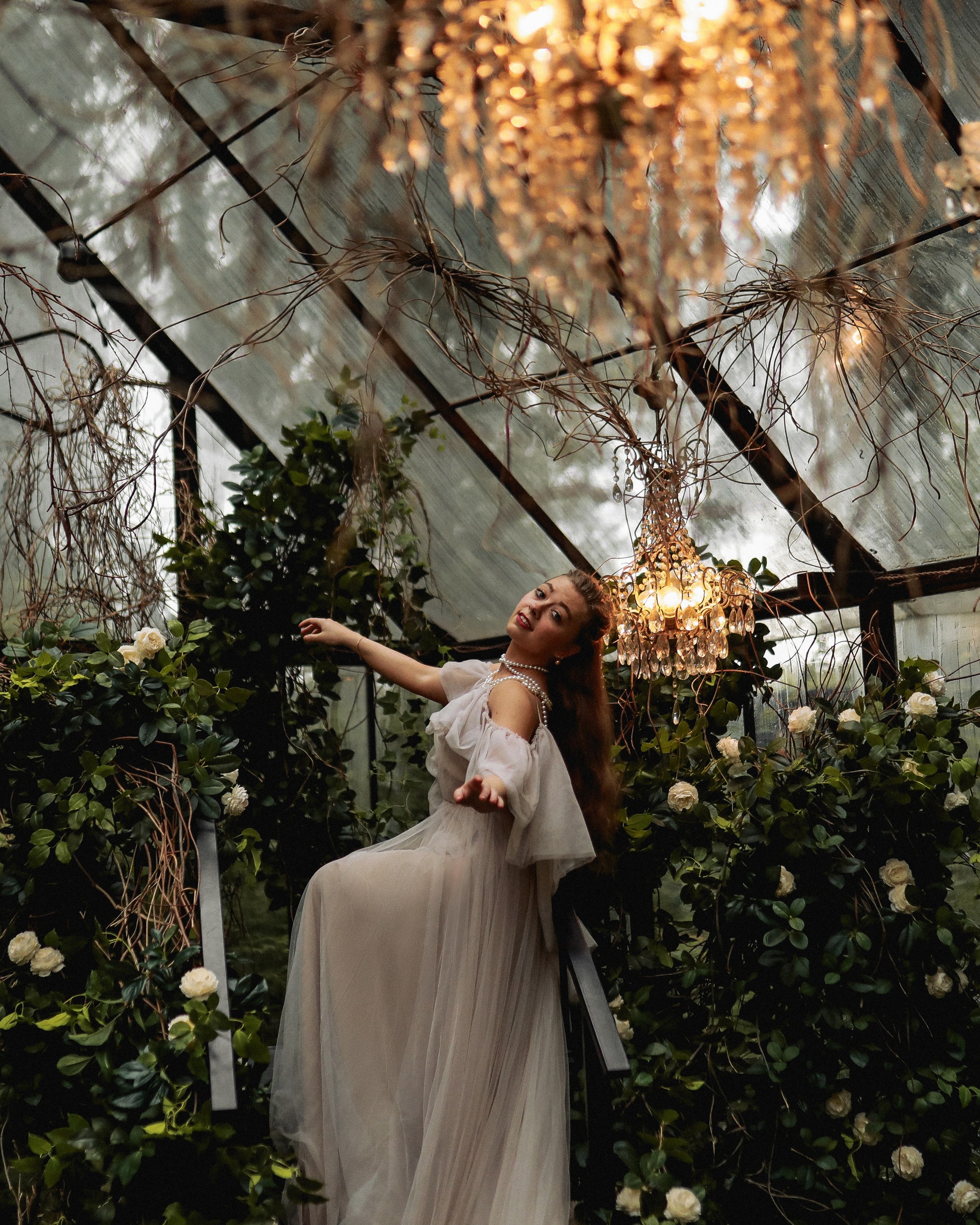 Зачарованный лес