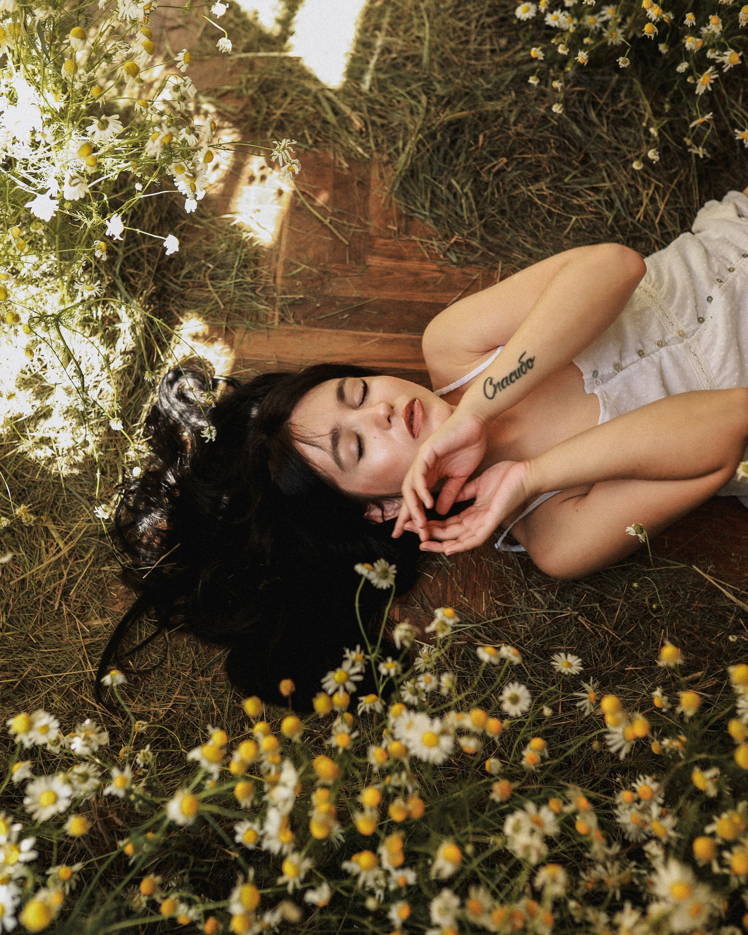 Сон в летнюю ночь | Ромашковое поле