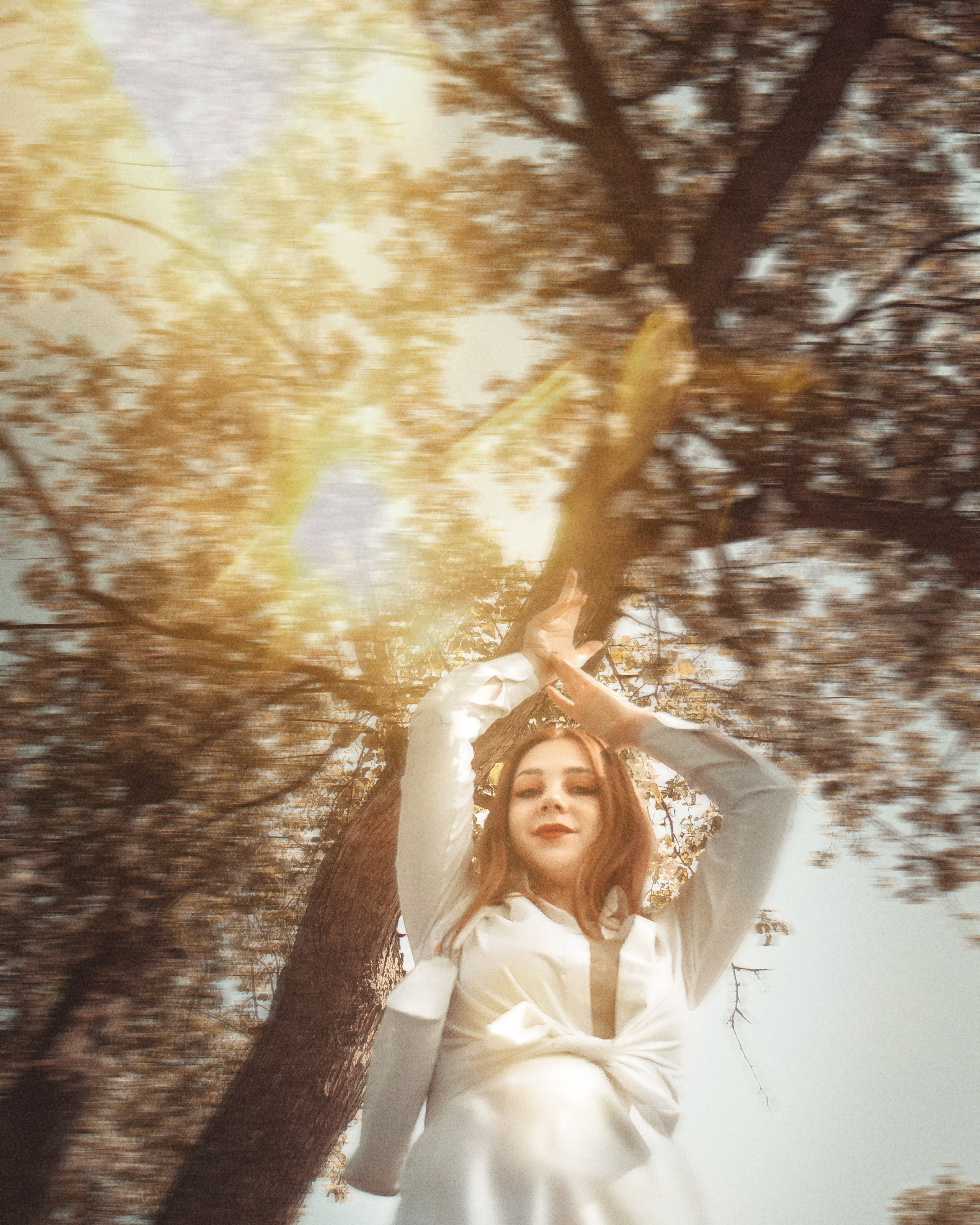 Яблони в саду