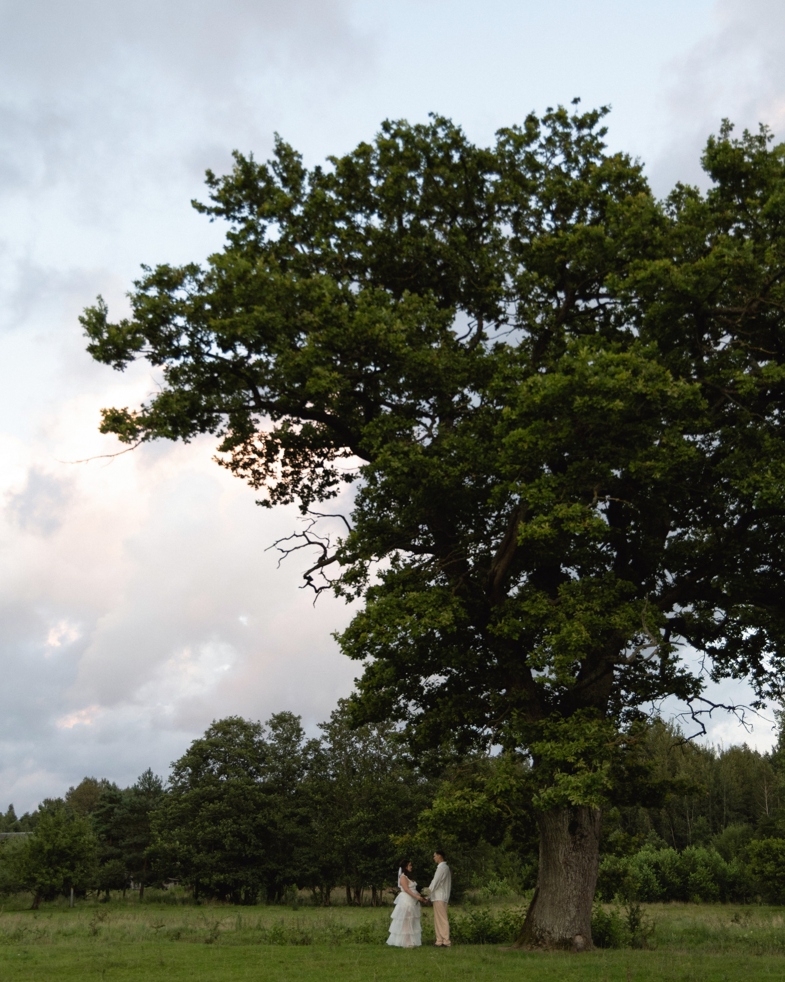 Алина & Сергей | ферма