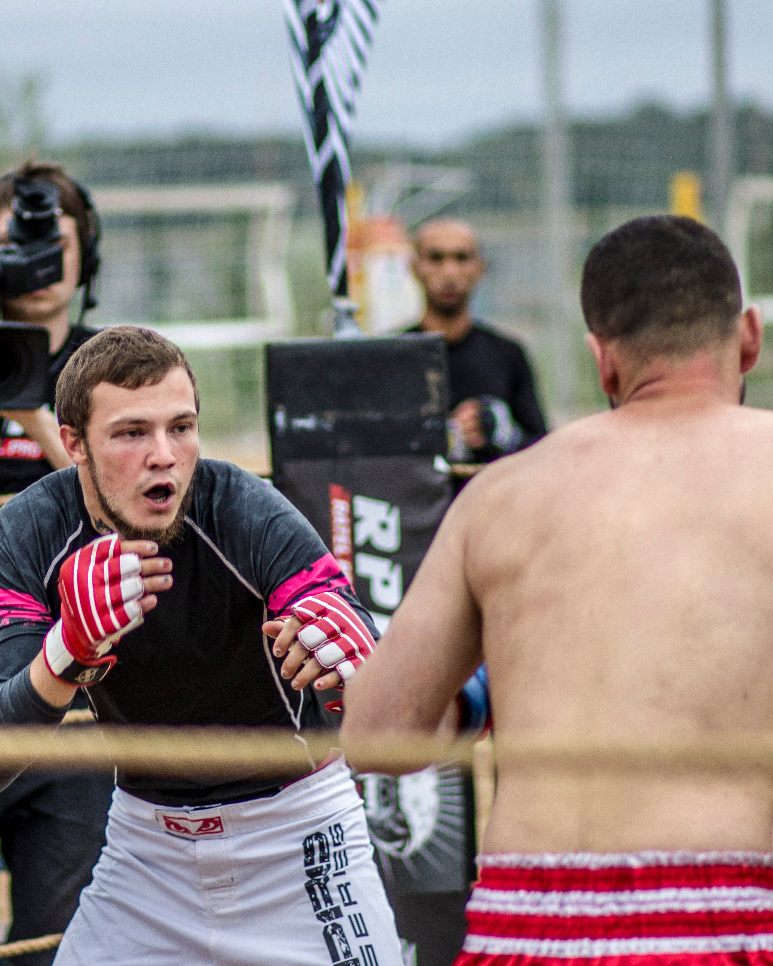 Смешанные единоборства