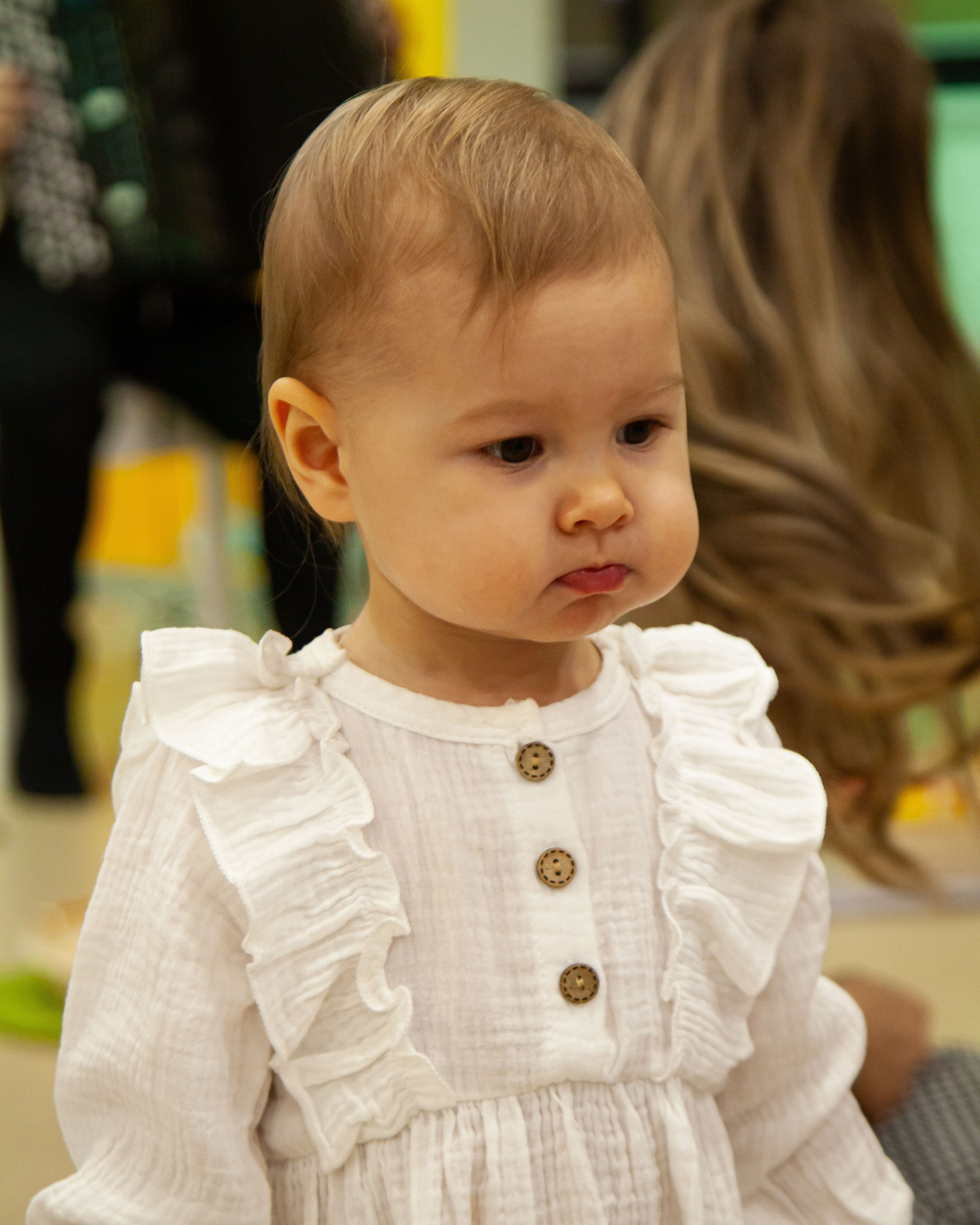 Музыкальный концерт с баяном. 17.11.23