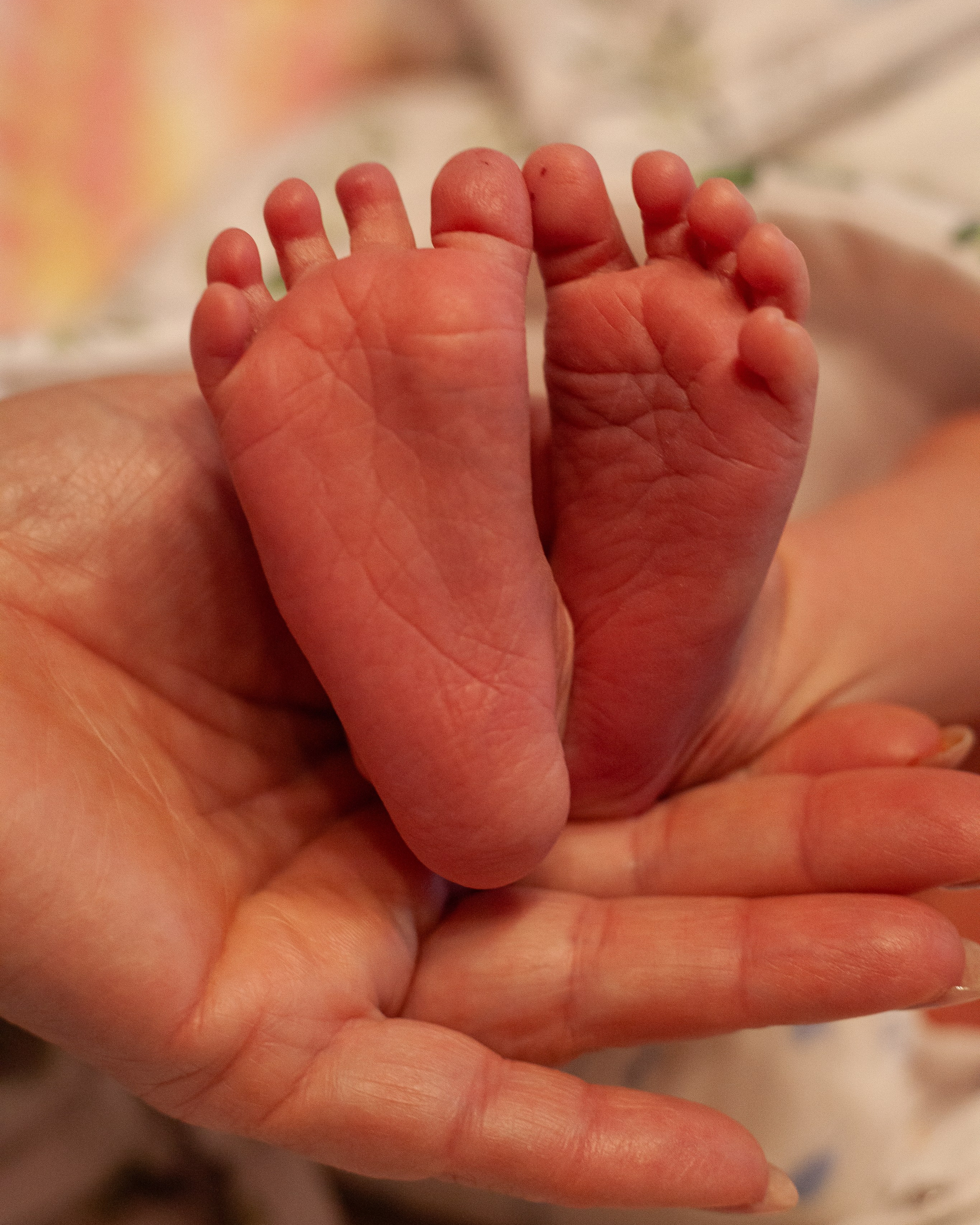 Выписка. Рита и&nbsp;Дима. 04.06.2025