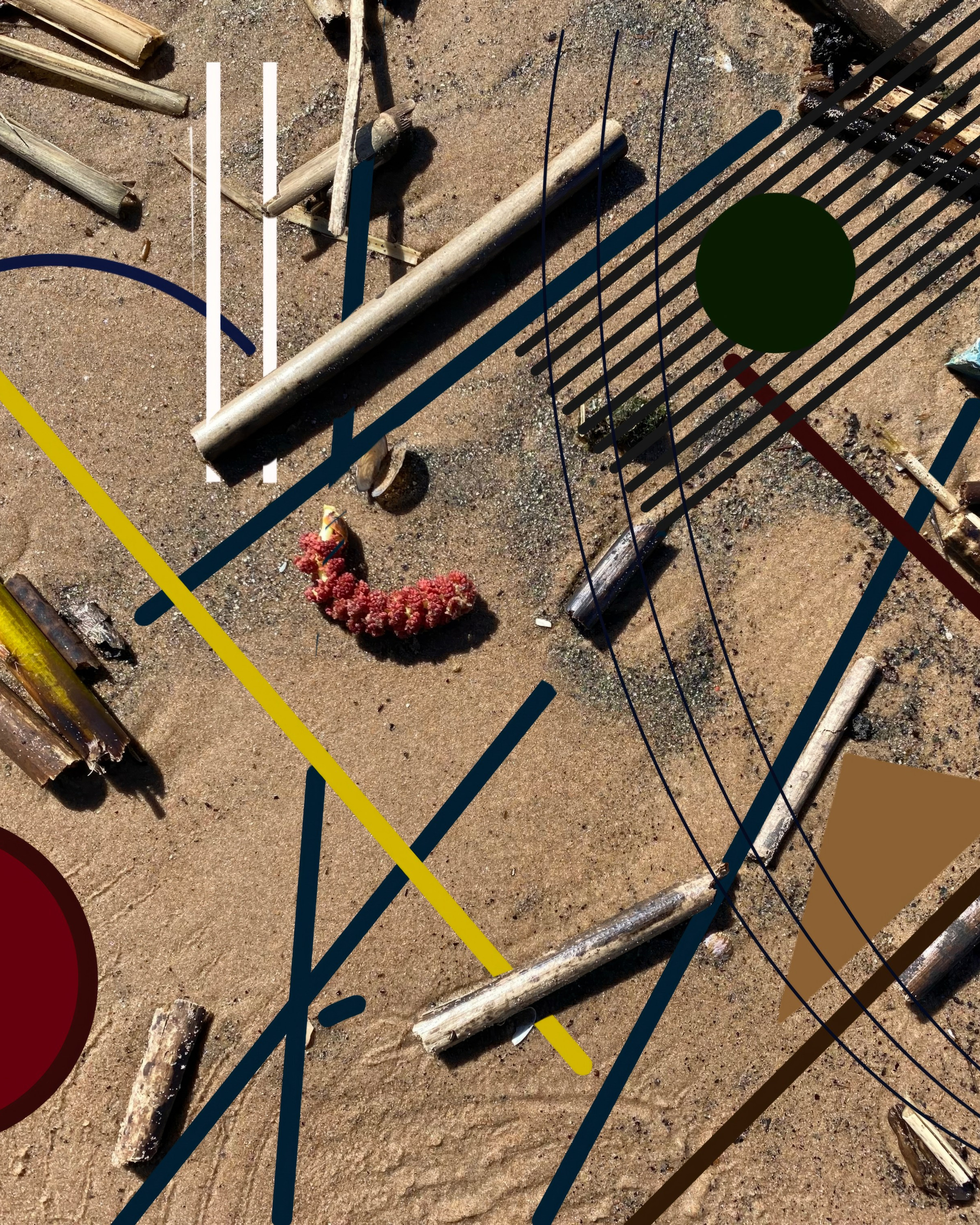 Этюды на&nbsp;песке