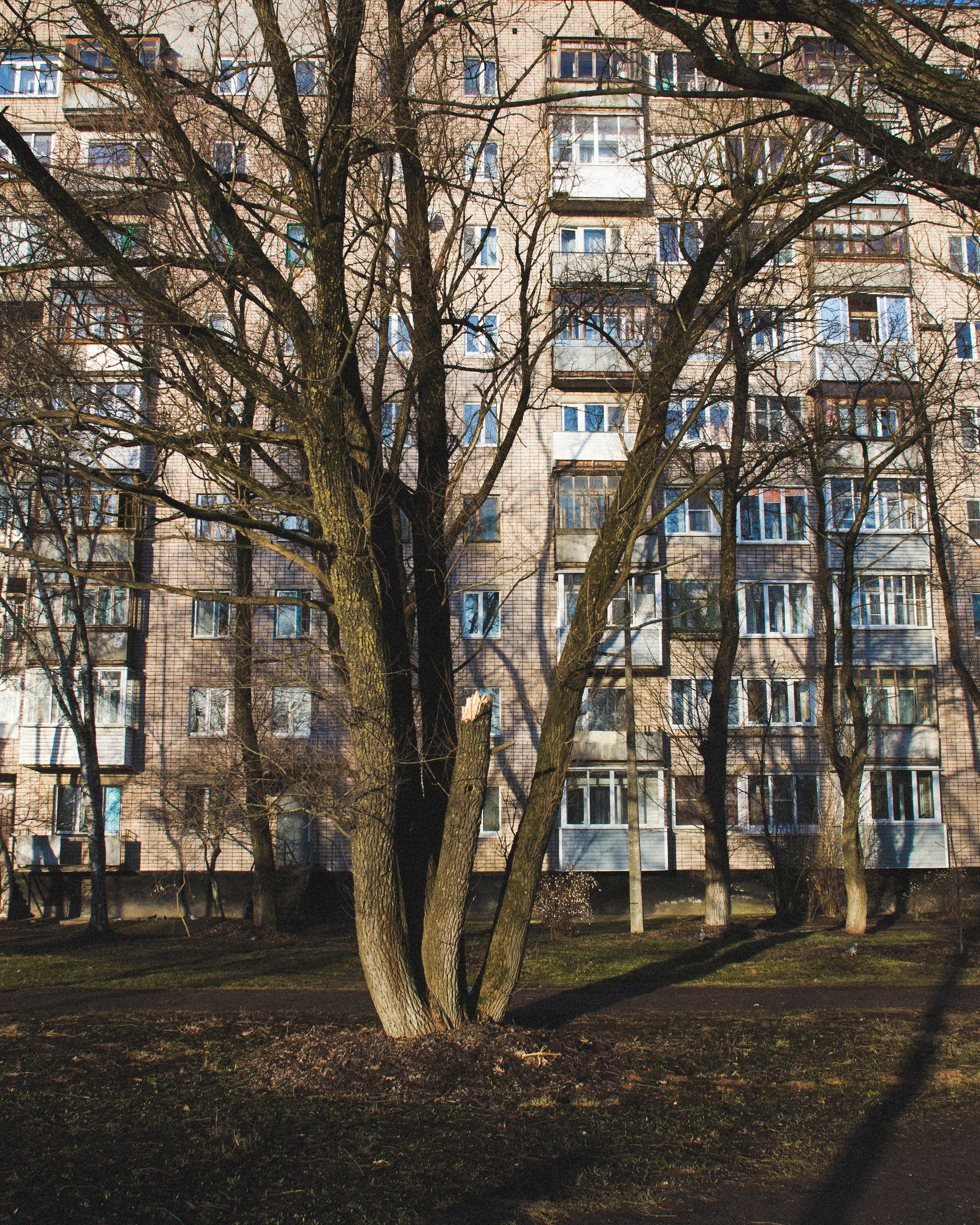 Великий Новгород