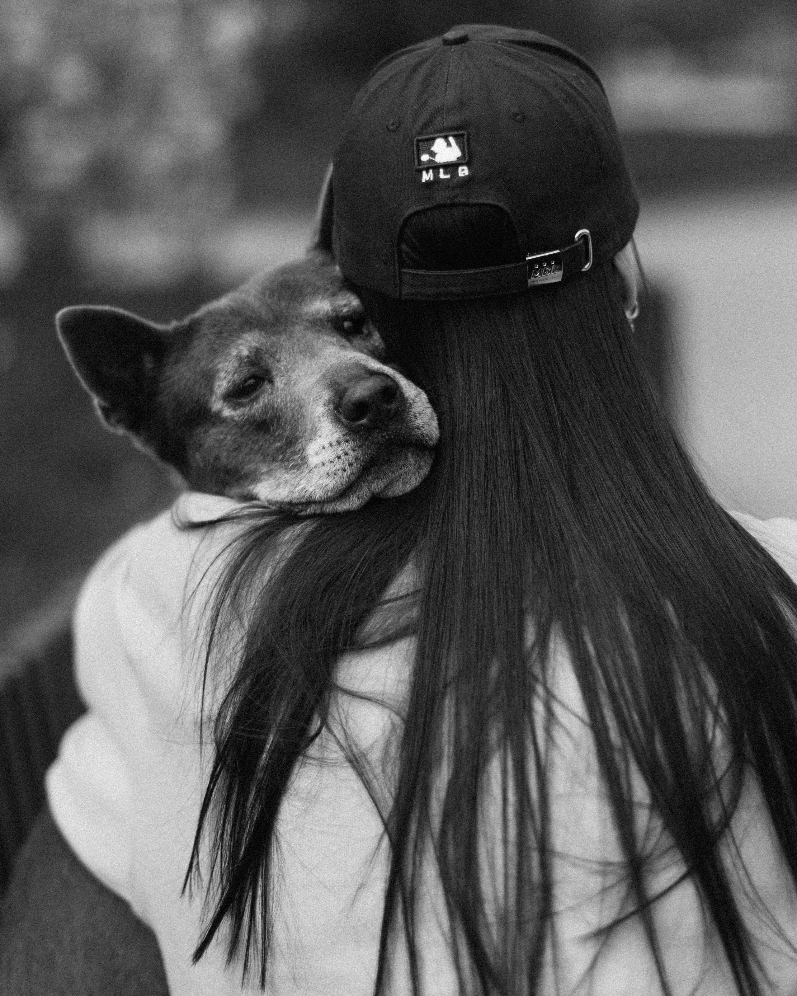 Любовь и преданность