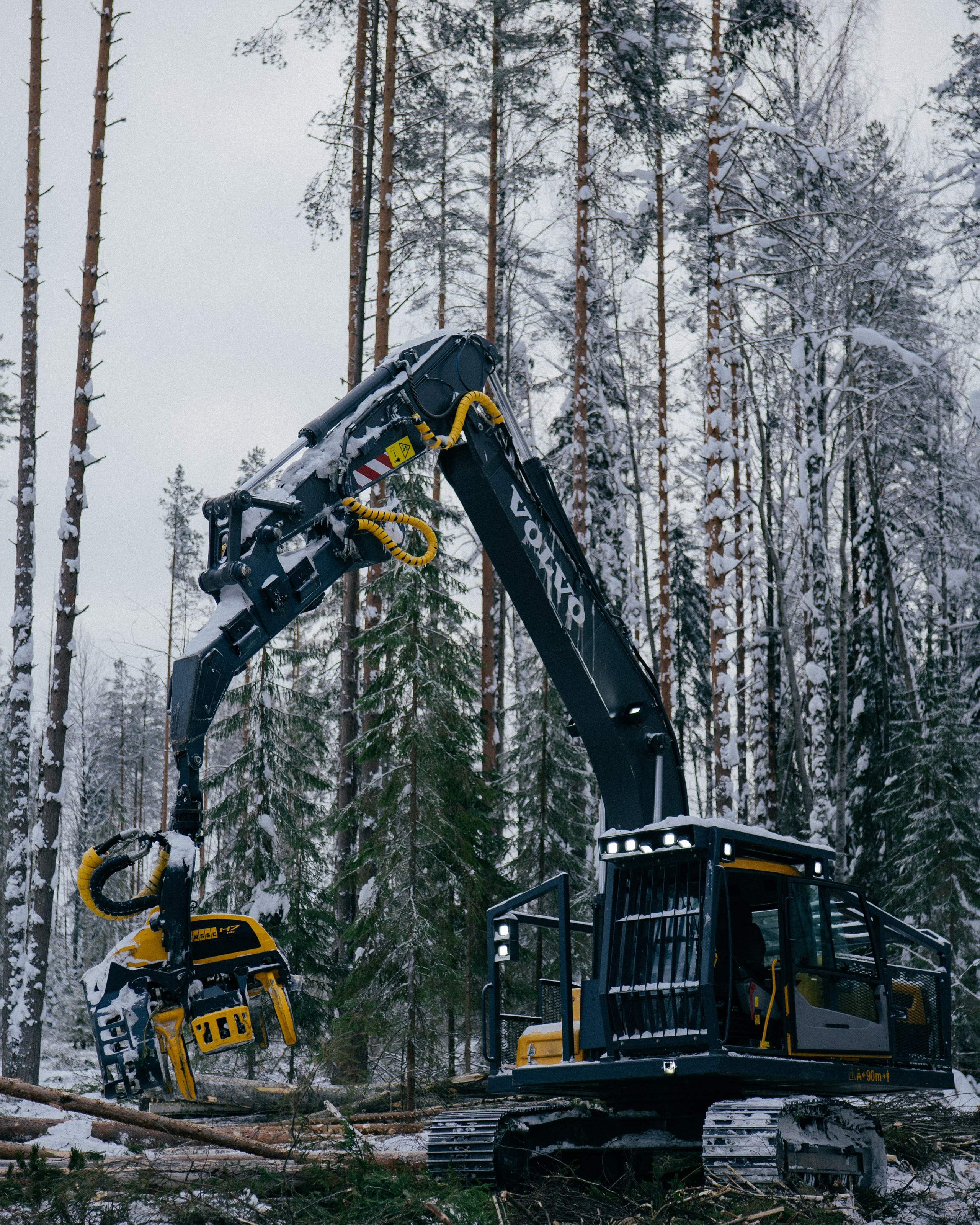 АРХАНГЕЛЬСК