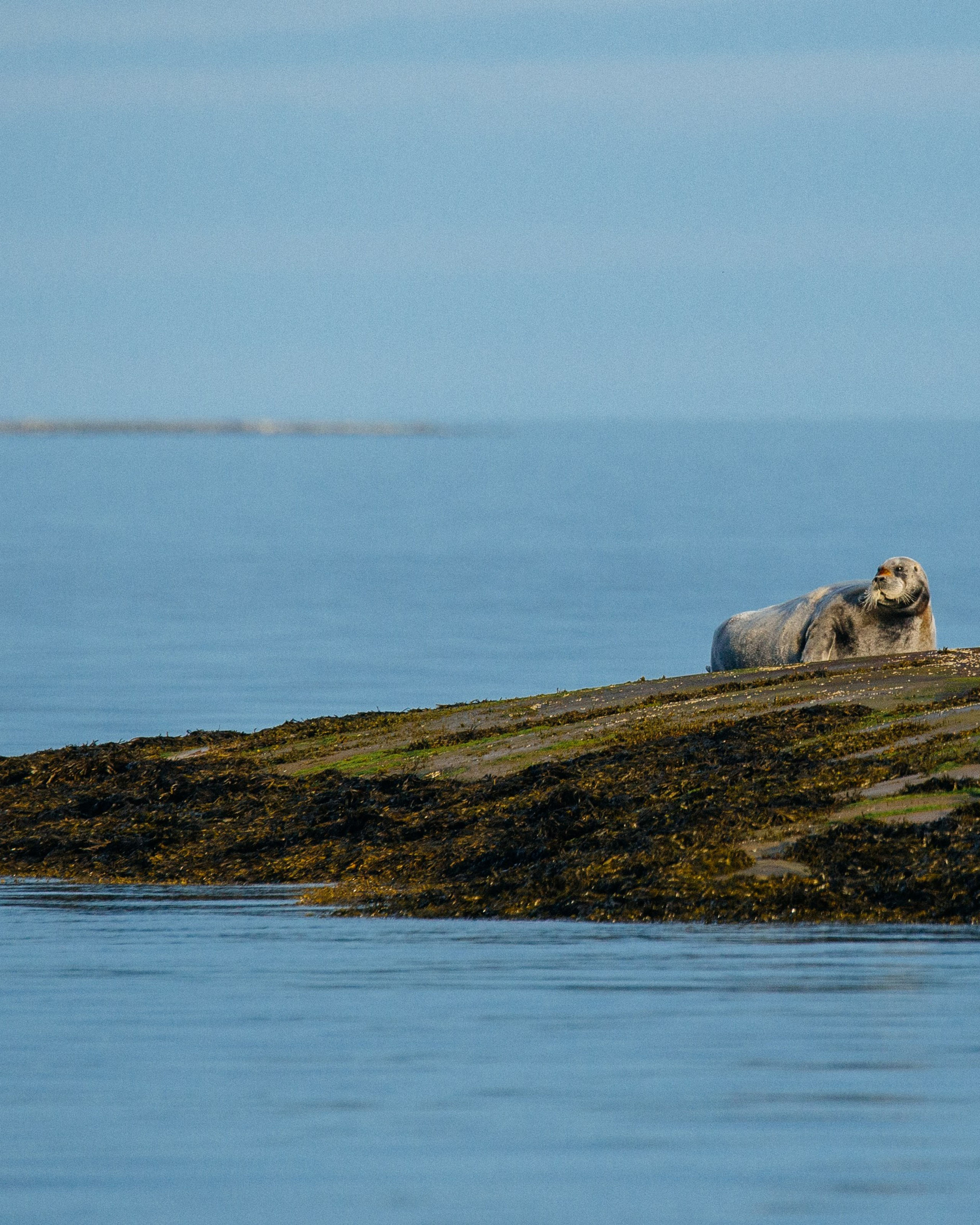 ЭТНОПАРК ГЕОГРАФИКА