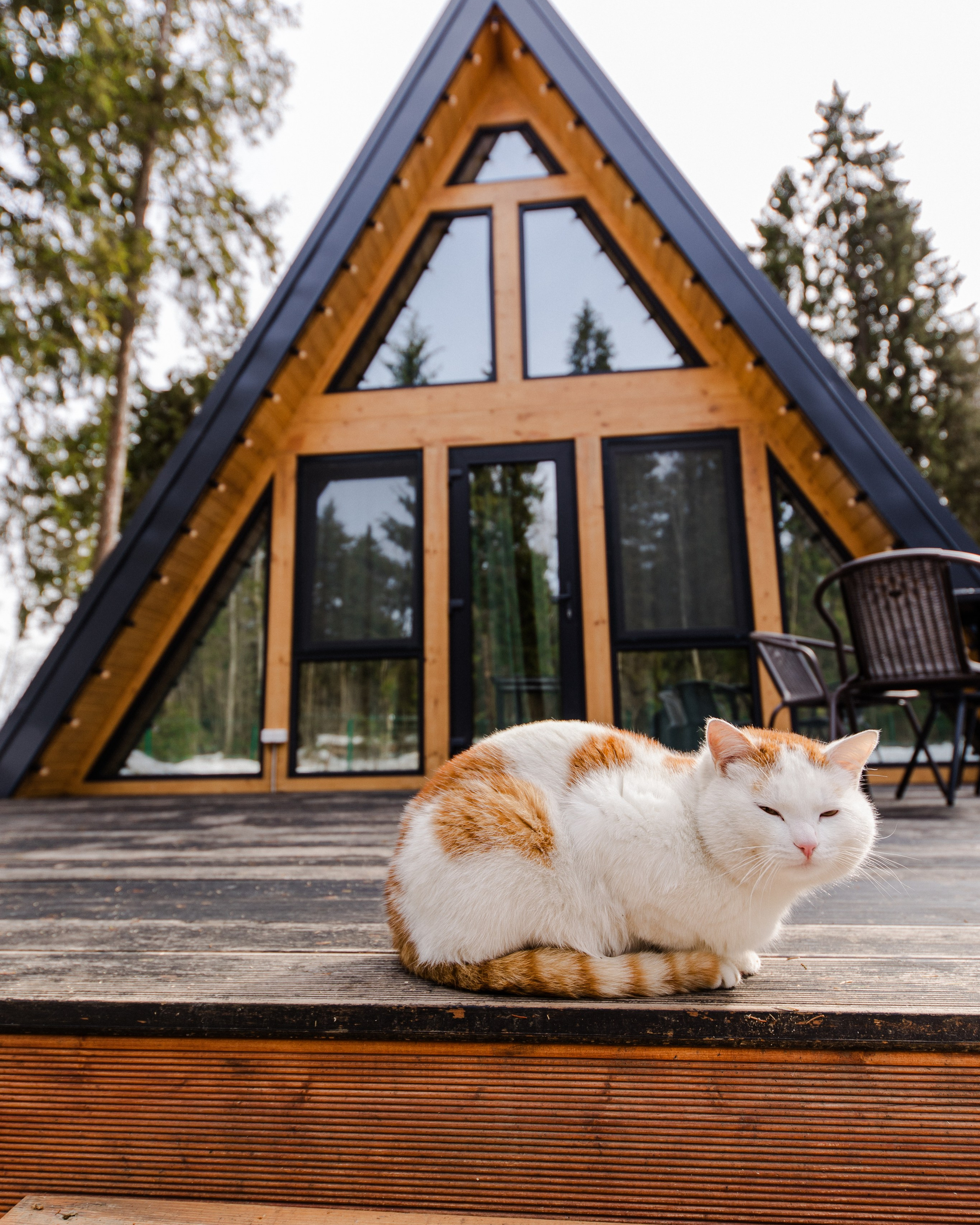 глемпинг Дивный бор