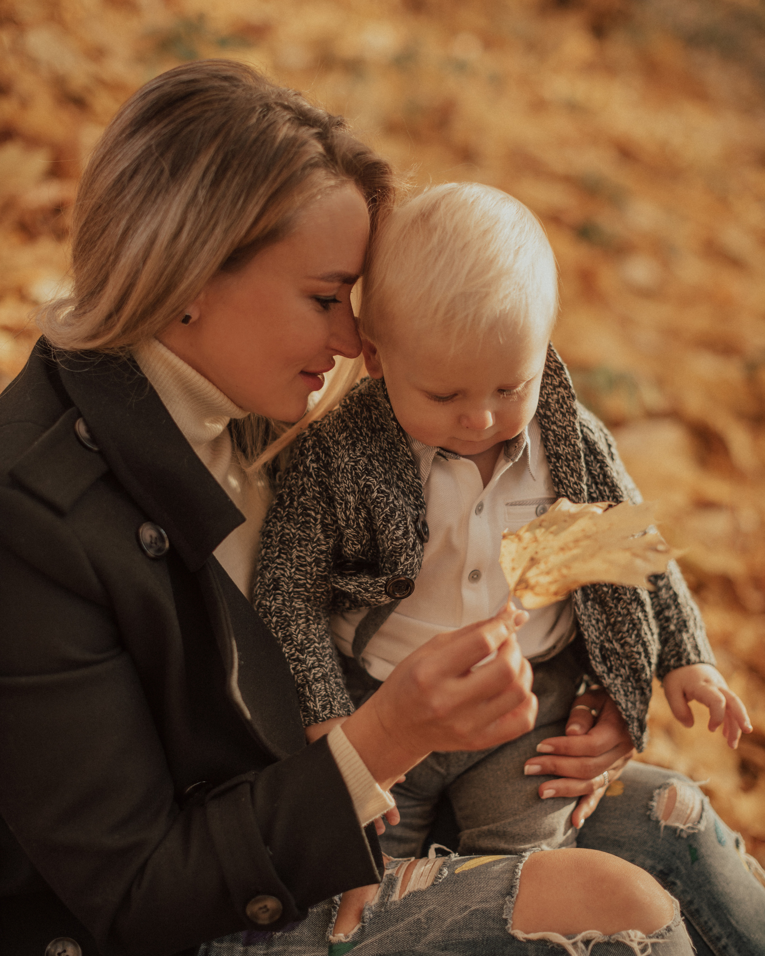 осенняя прогулка