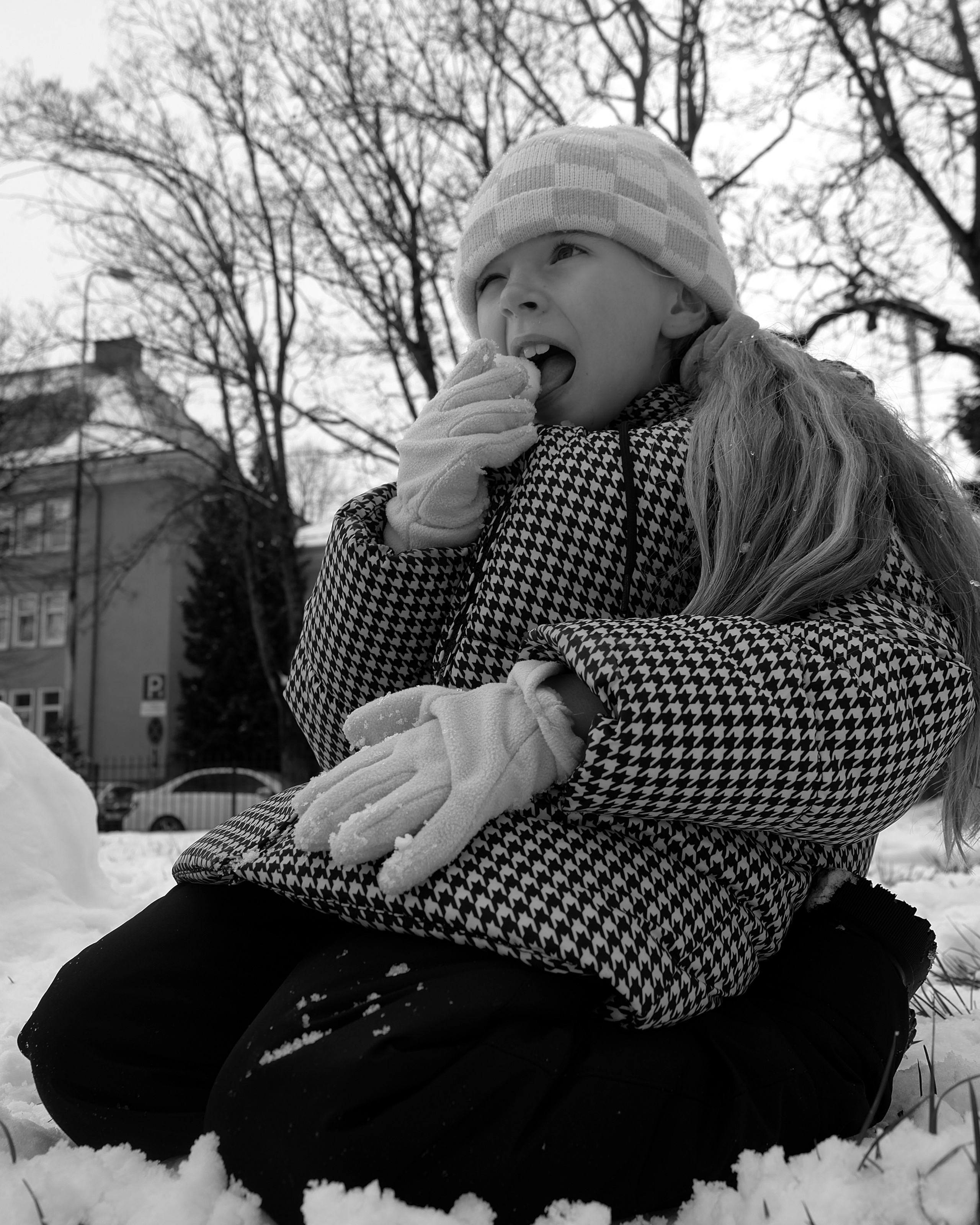 Снежка
